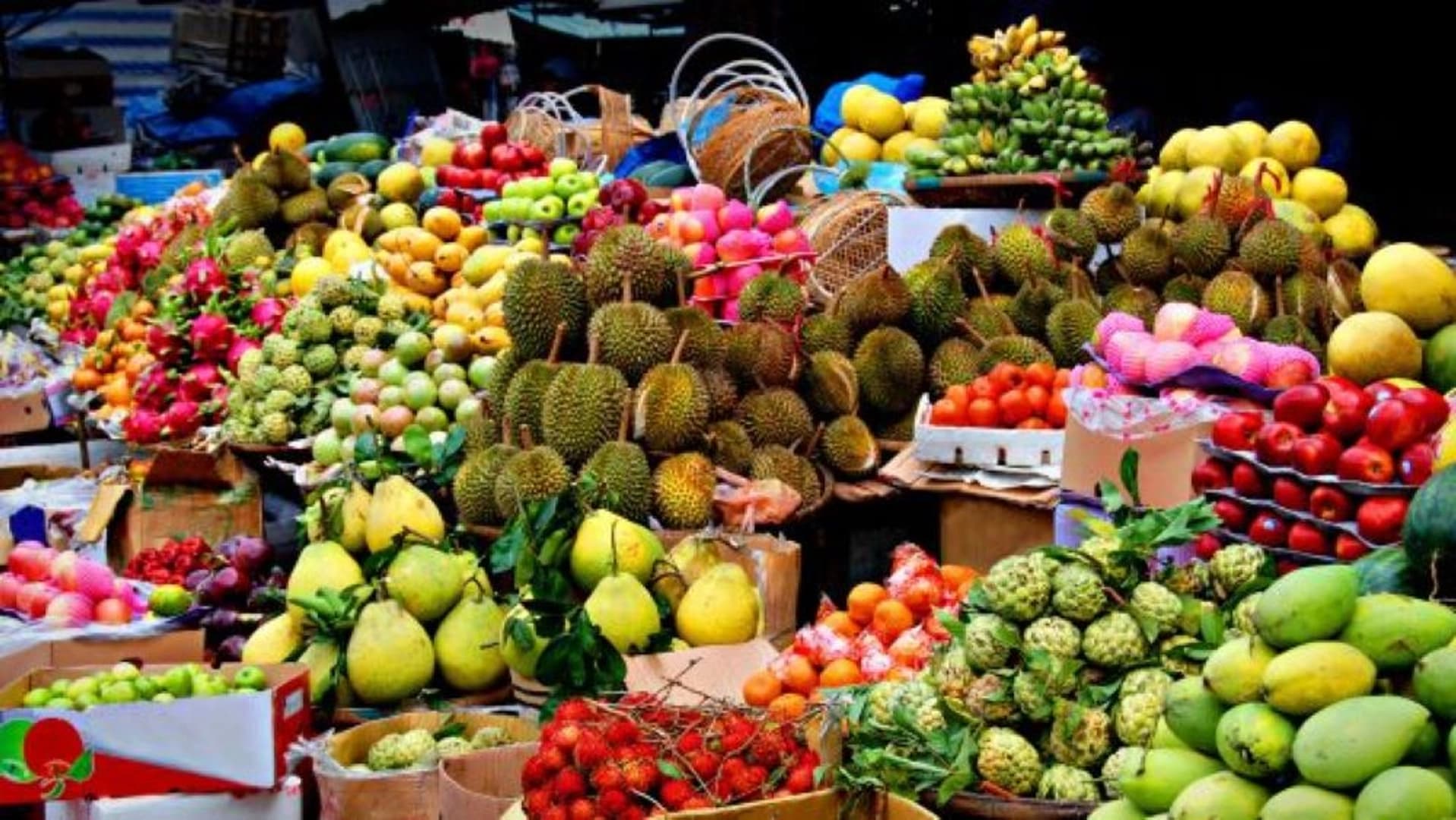 Andaman Dream Premium 2026: Cabin Charter - photo 13