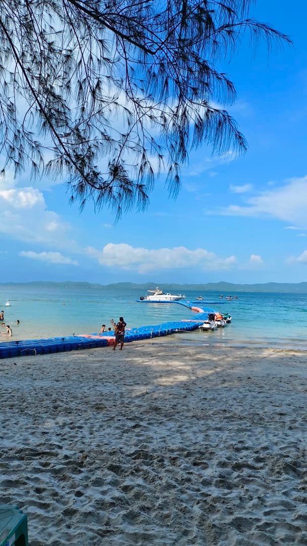 Monkey Paradise - photo 9