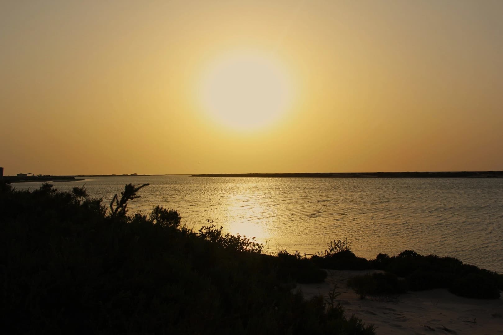 Private Coastal Escape on Gulf Craft 36ft - photo 11