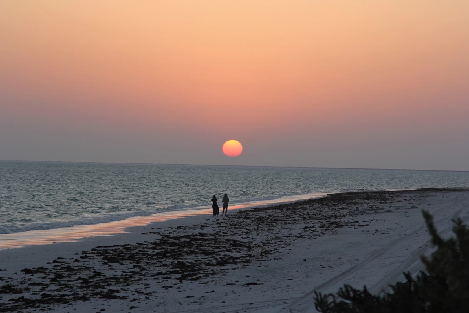 Night Yacht Tour to Al Khairan Island - photo 7