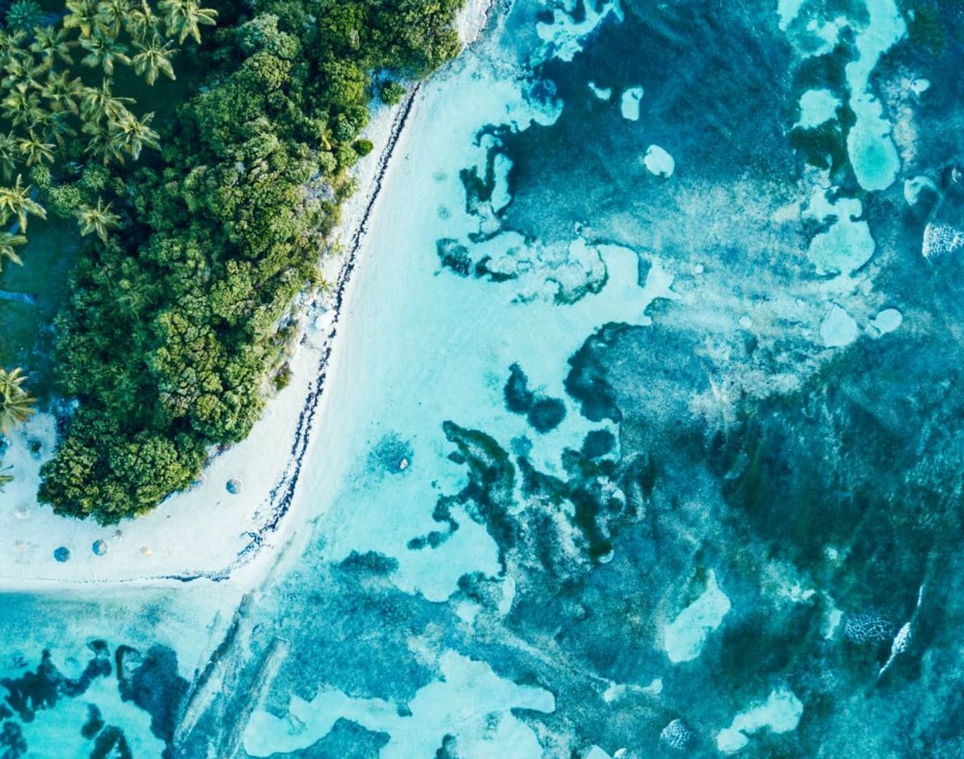 Guadeloupe Dream Premium 2026: Cabin Charter - photo 10