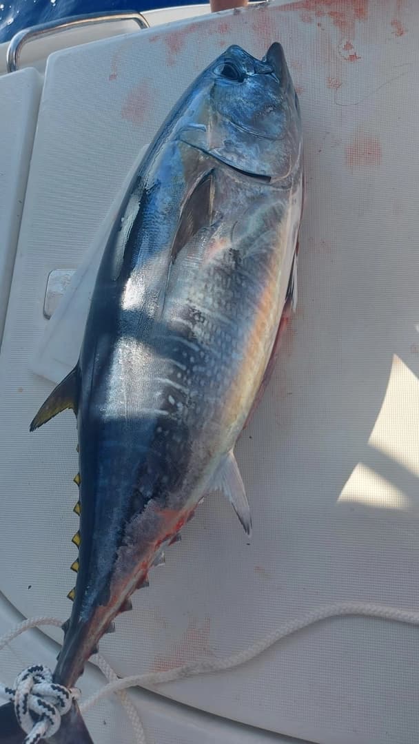 Fishing on the bay - photo 10