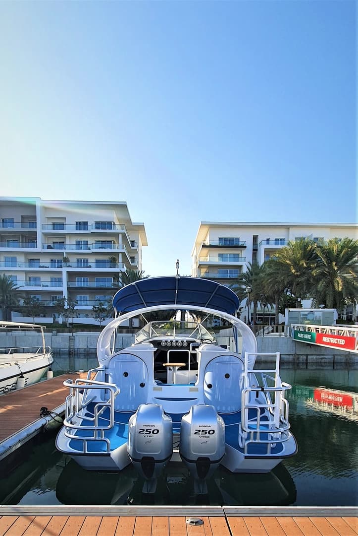 Looker 370 - photo 4