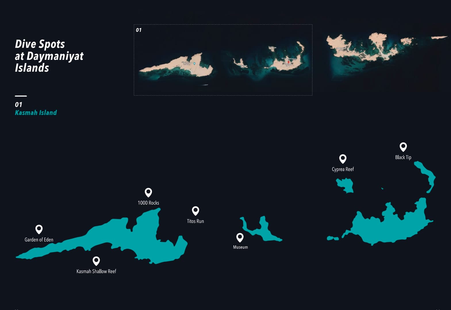 Discover the best diving spots in Oman (package tours) - photo 4