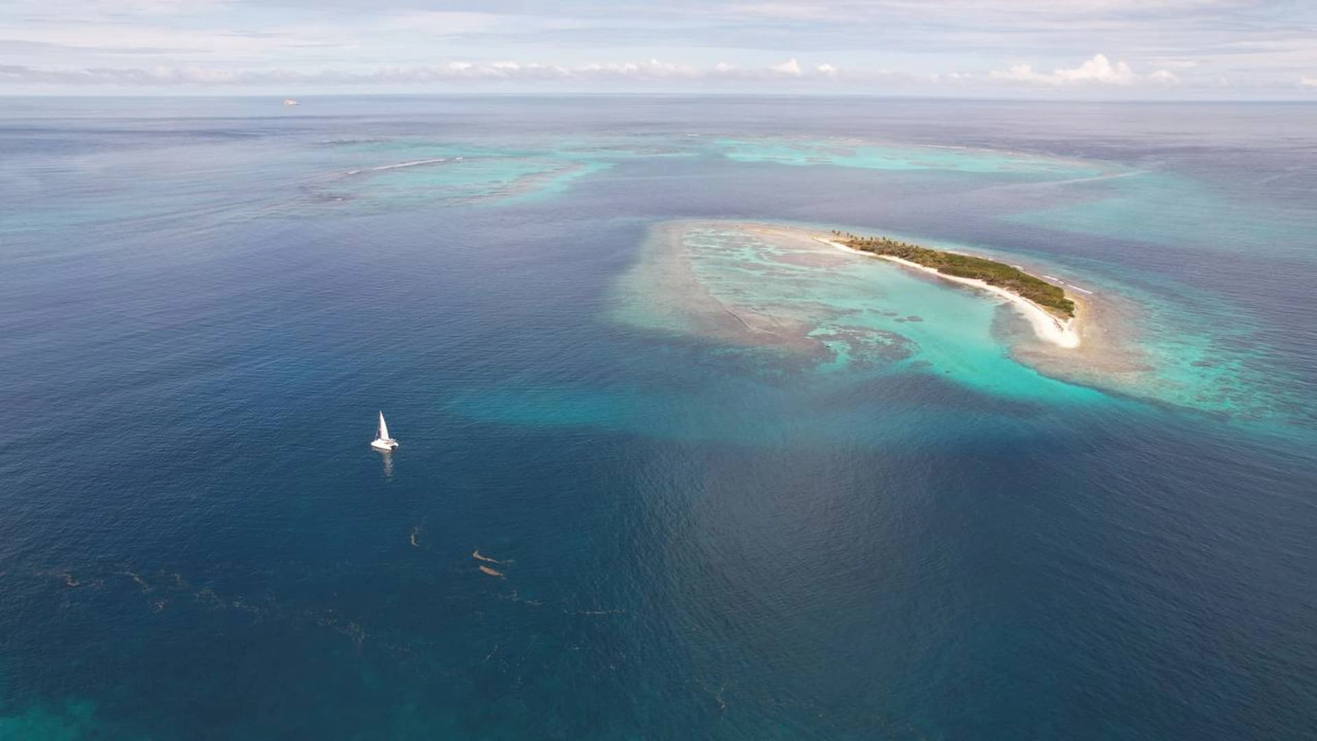 Caribbean Private Catamaran Cruises. Martinique - photo 6