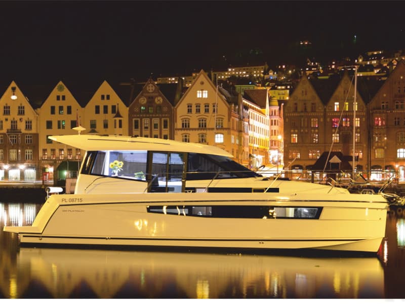 Platinum 989 - photo