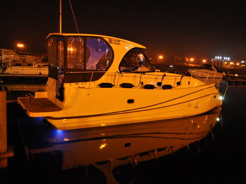 Tes 393 Illuminatus - photo 12