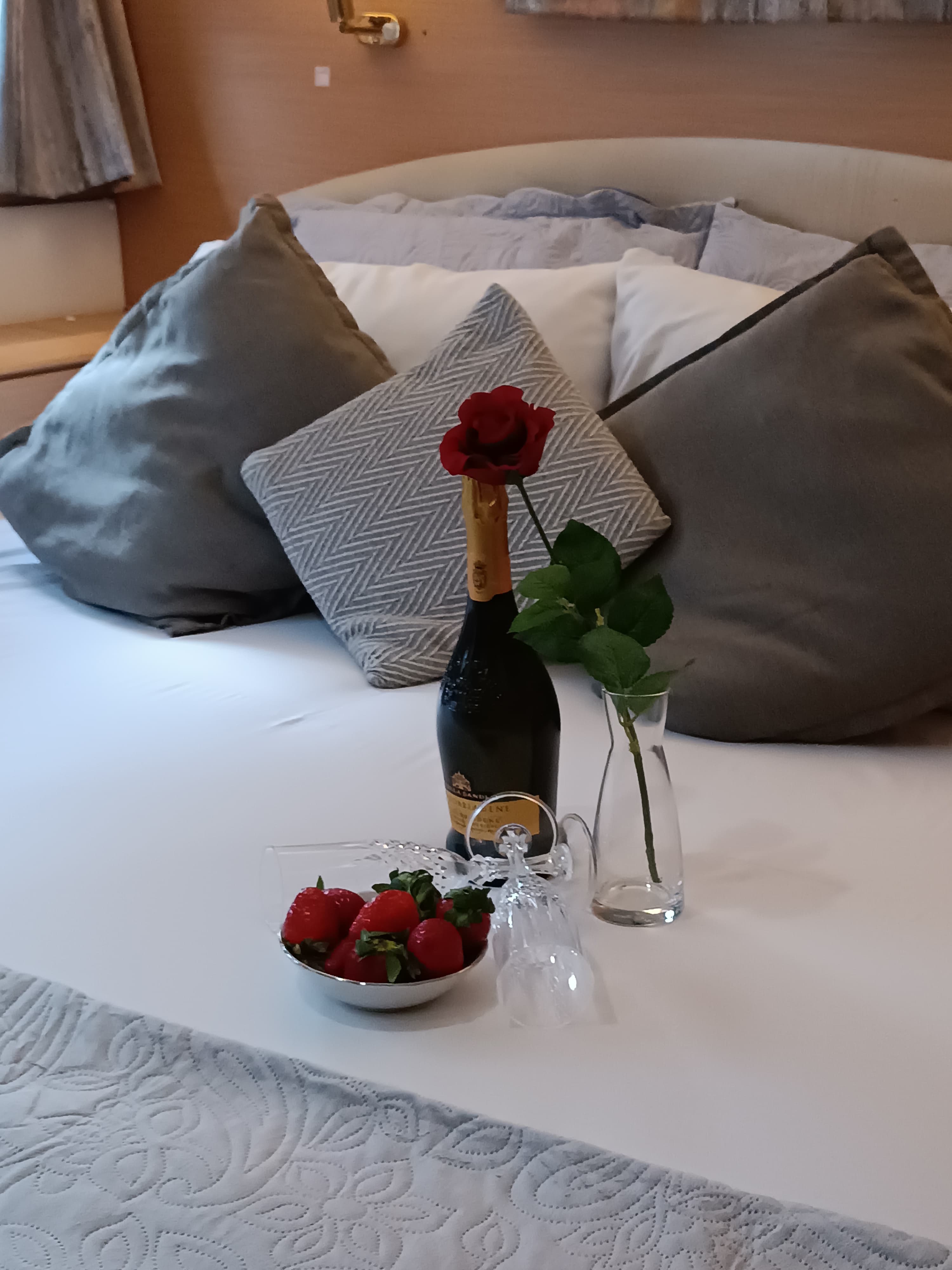 Lagoon 500 - photo 18