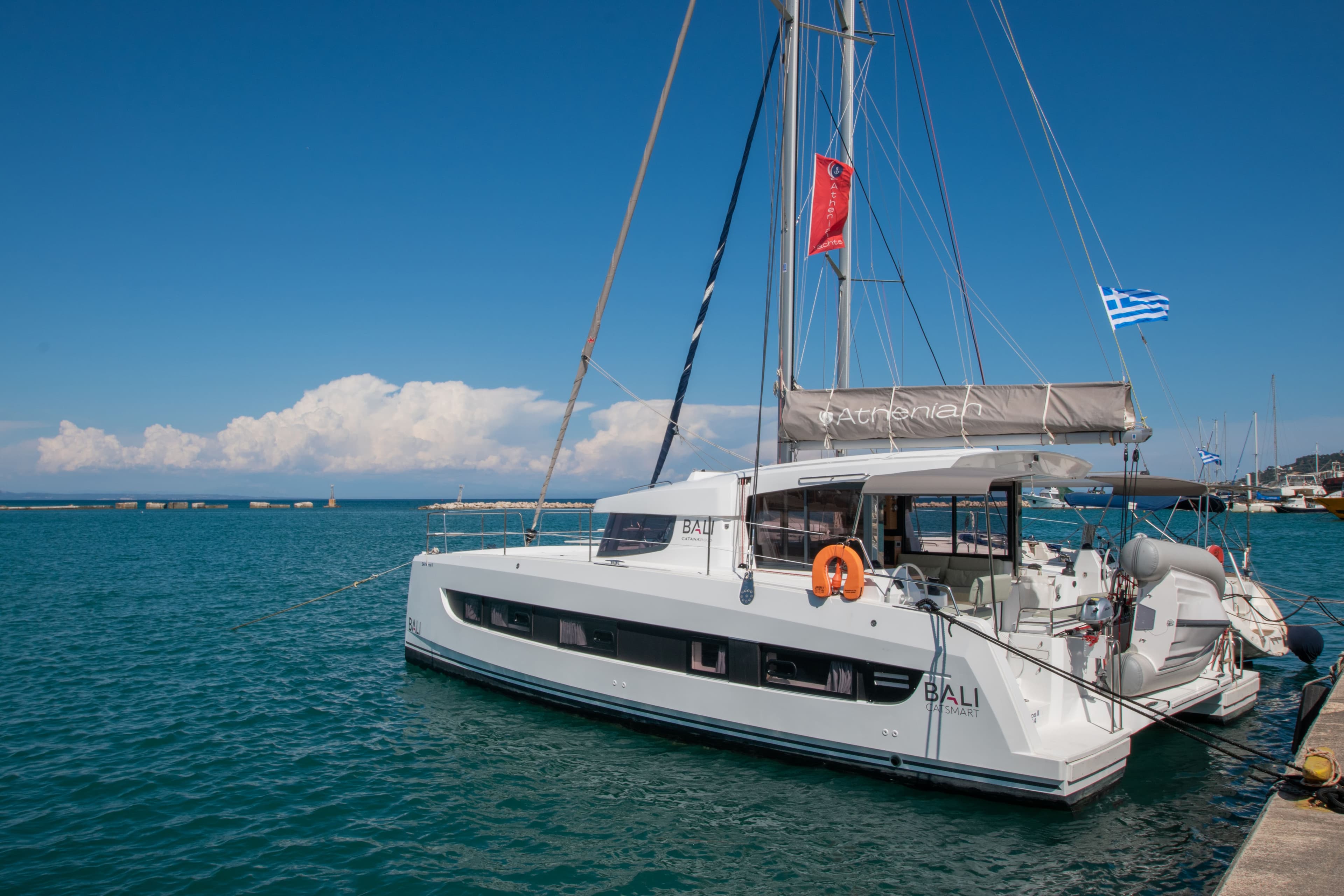 Bali Catsmart - photo 24