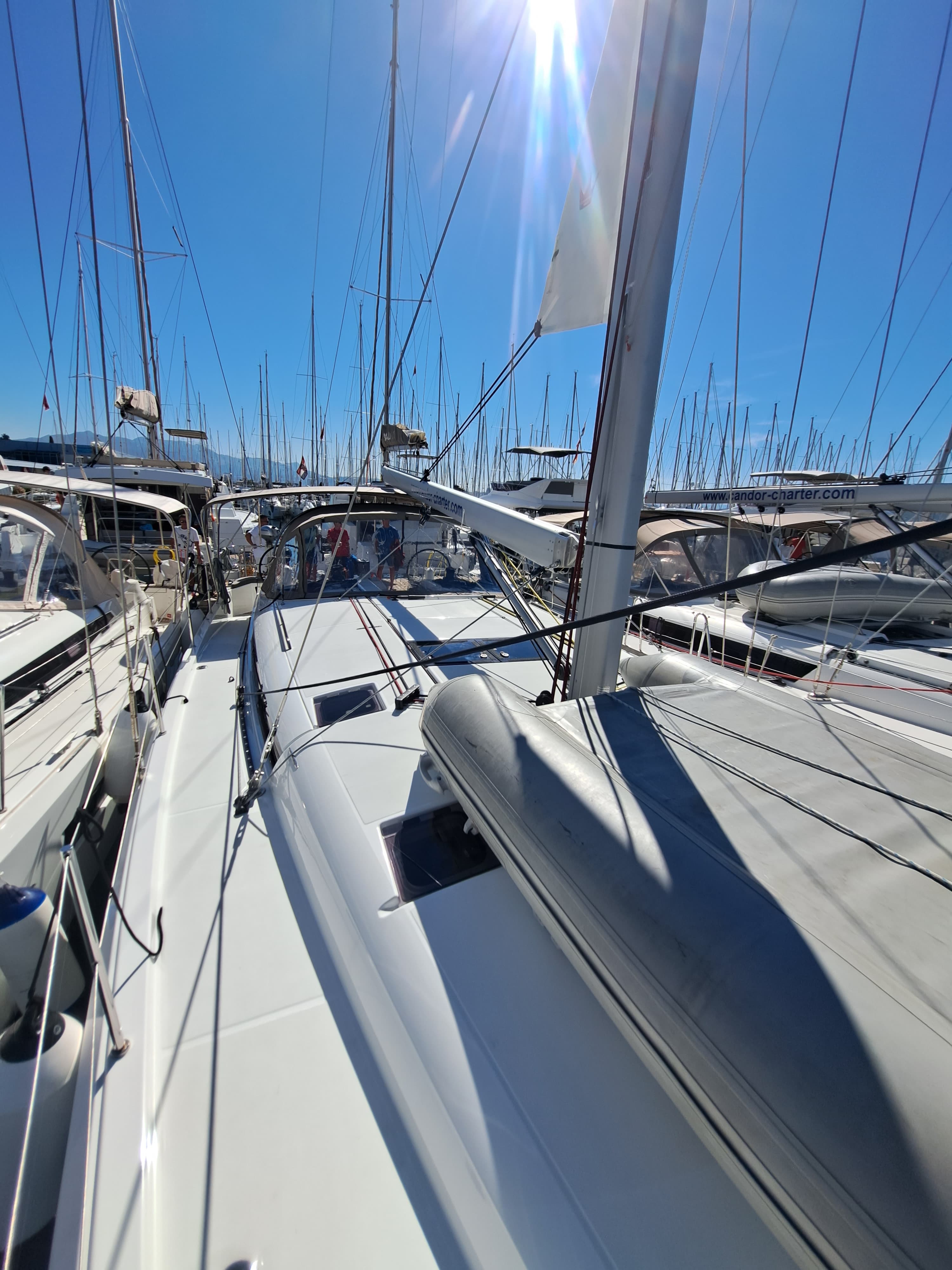 Sun Odyssey 490 - photo 15