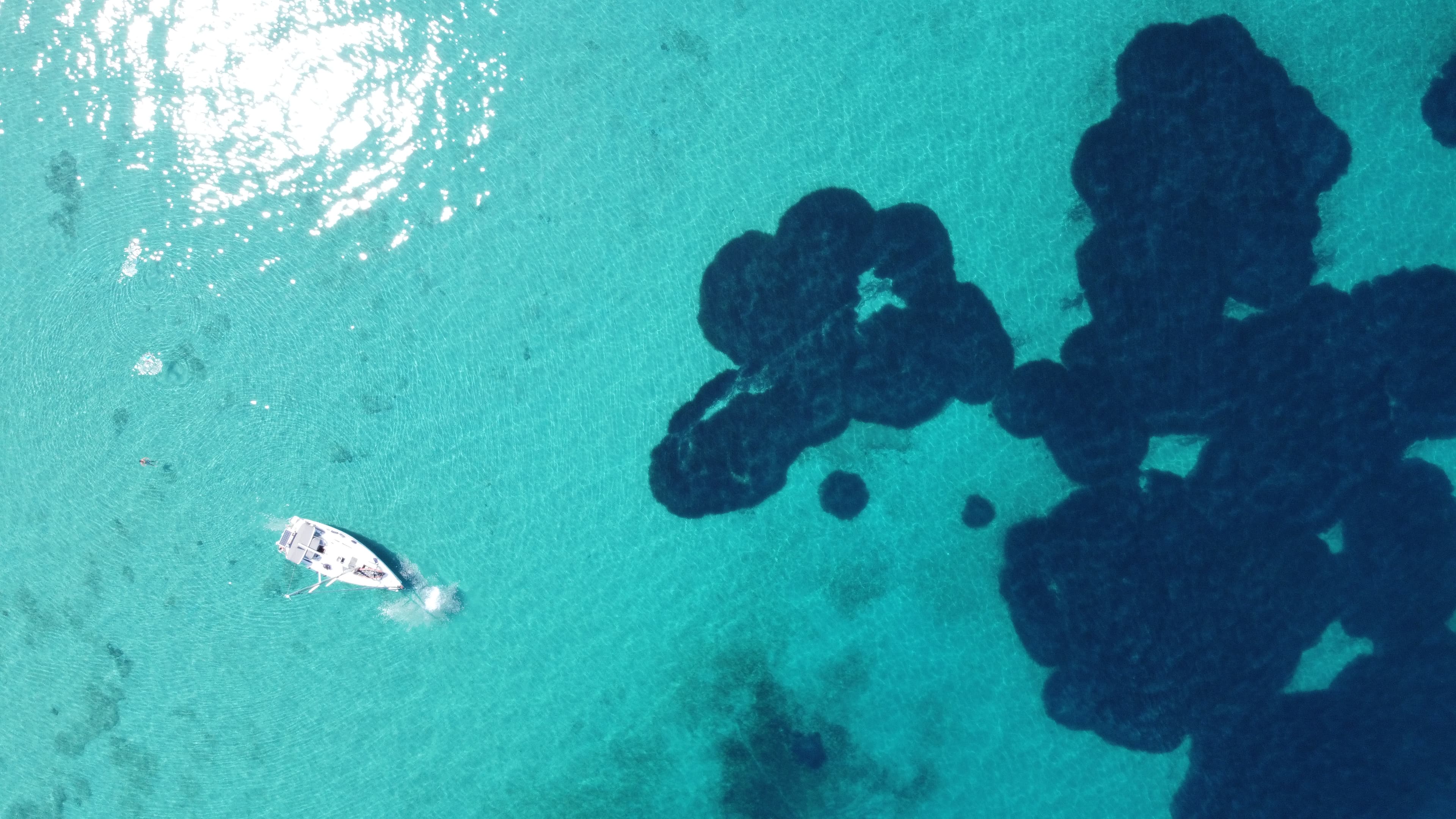 Elan Impression 384 - photo 19