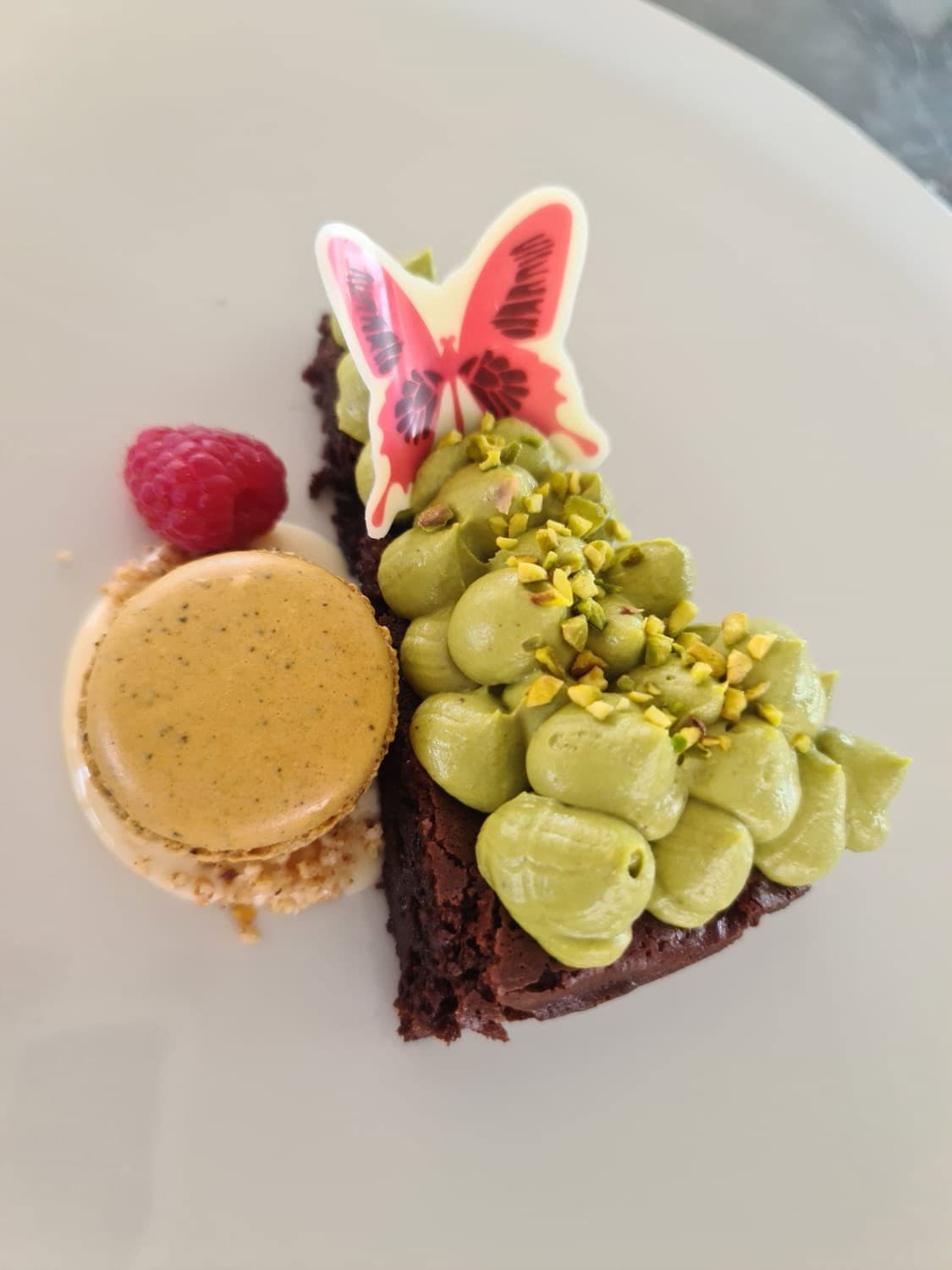 Lagoon 620 - photo 8