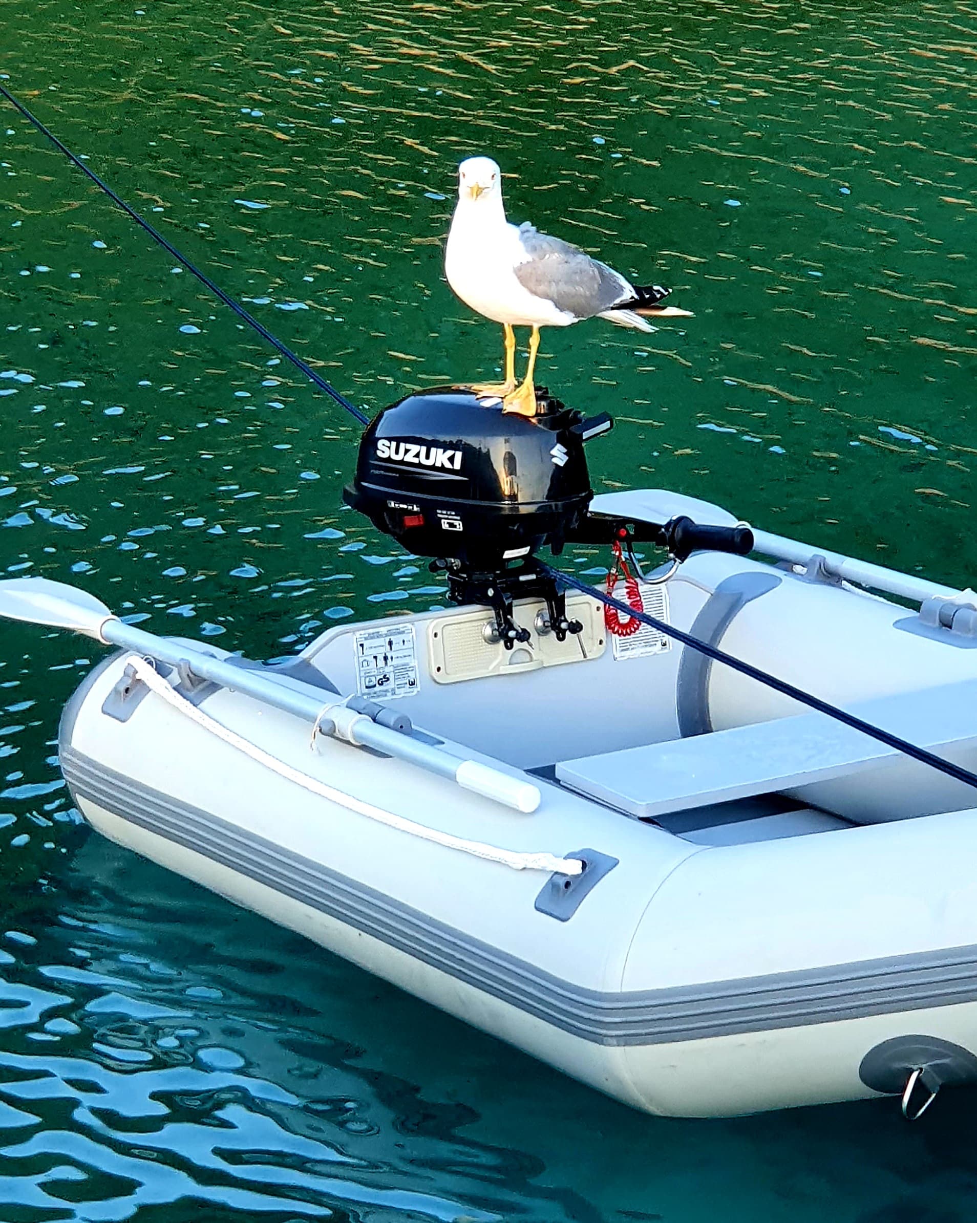 Bavaria 44 - photo 44