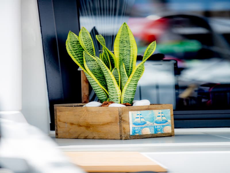 Lagoon 46  - photo 127