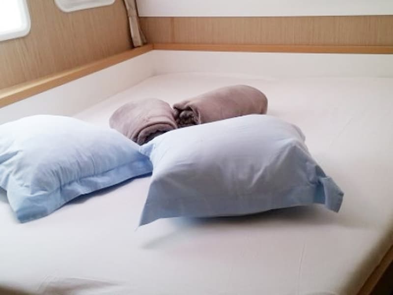 Lagoon 450 Fly - photo 16