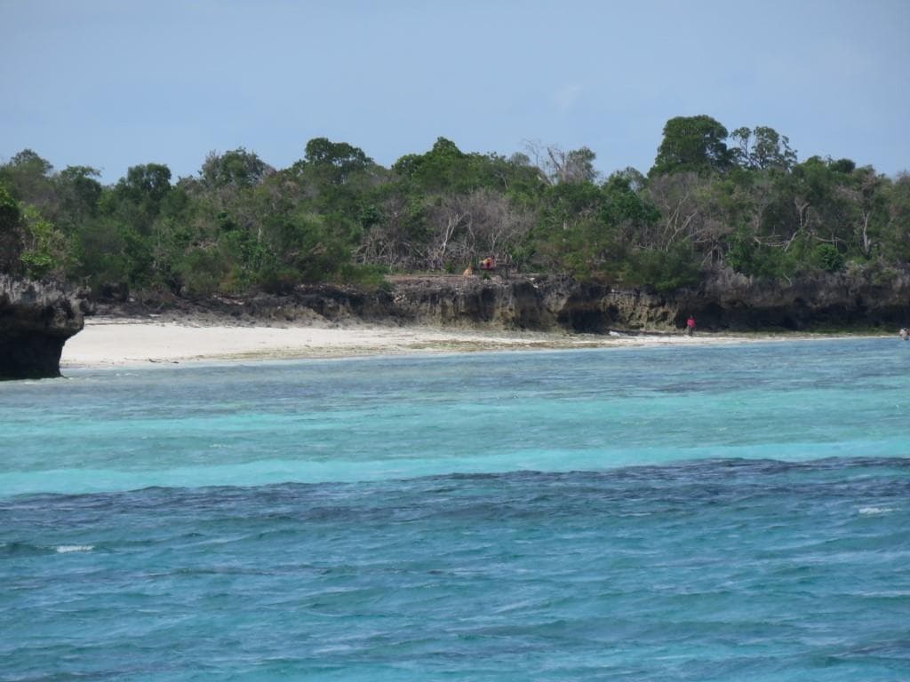 Leopard 48 - photo 50