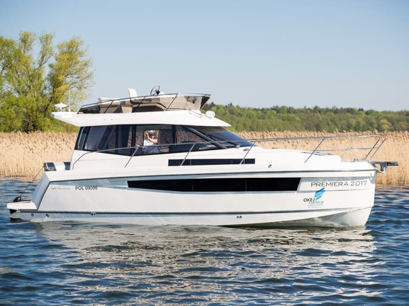 Platinum 989 - photo 18