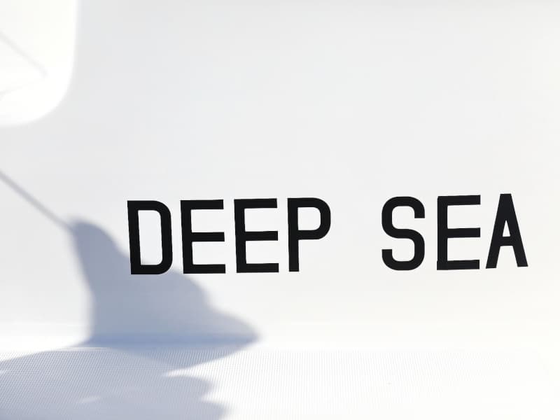 Lagoon 46  - photo 45