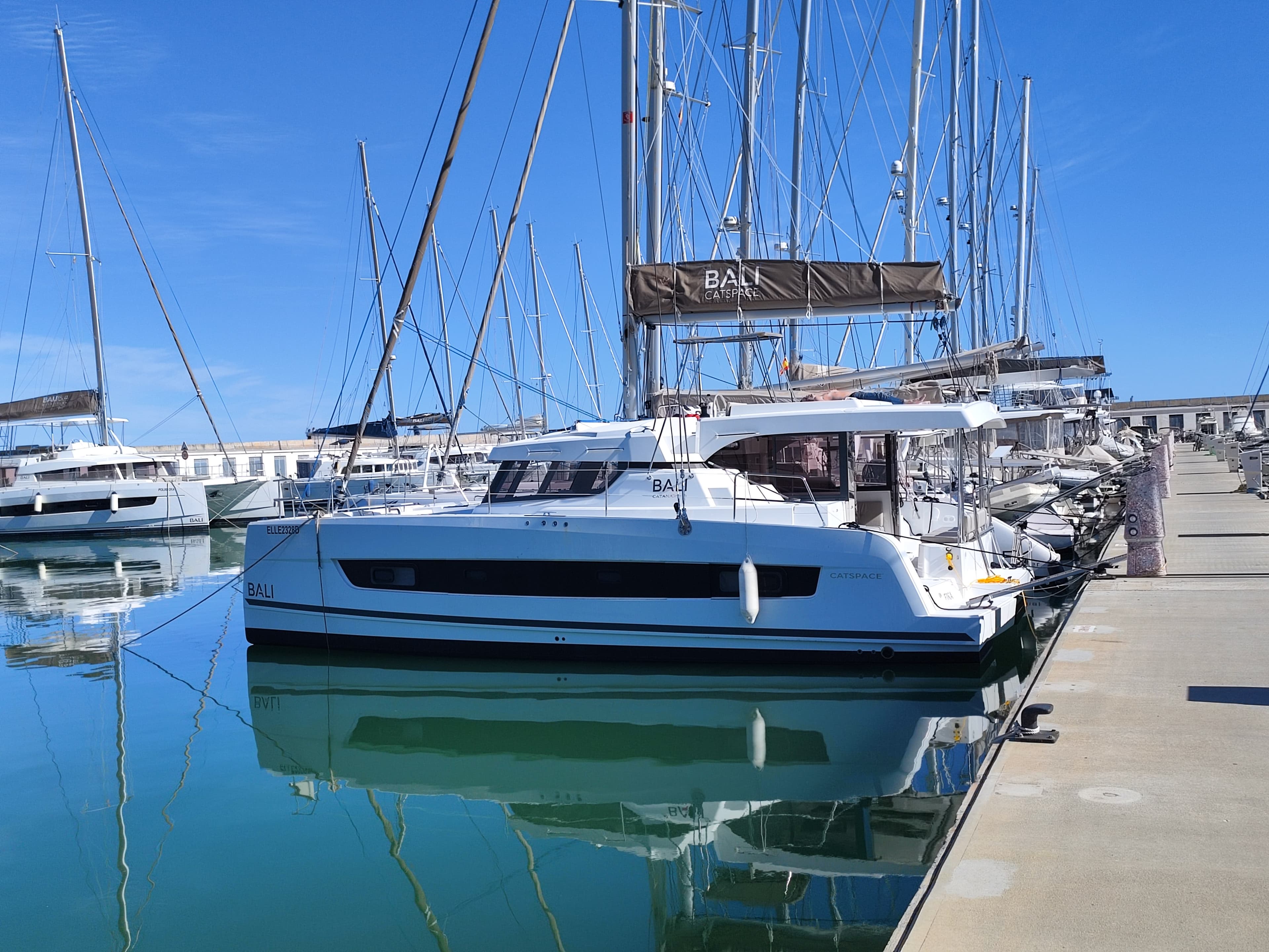 Bali Catspace - photo 4