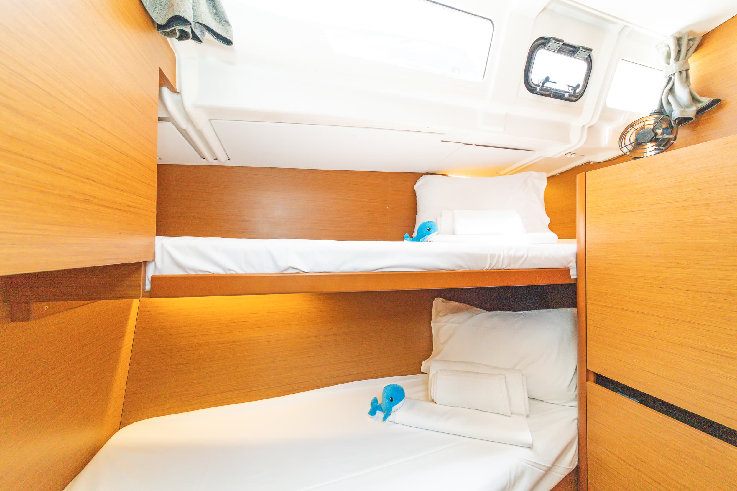 Sun Odyssey 490 - photo 5