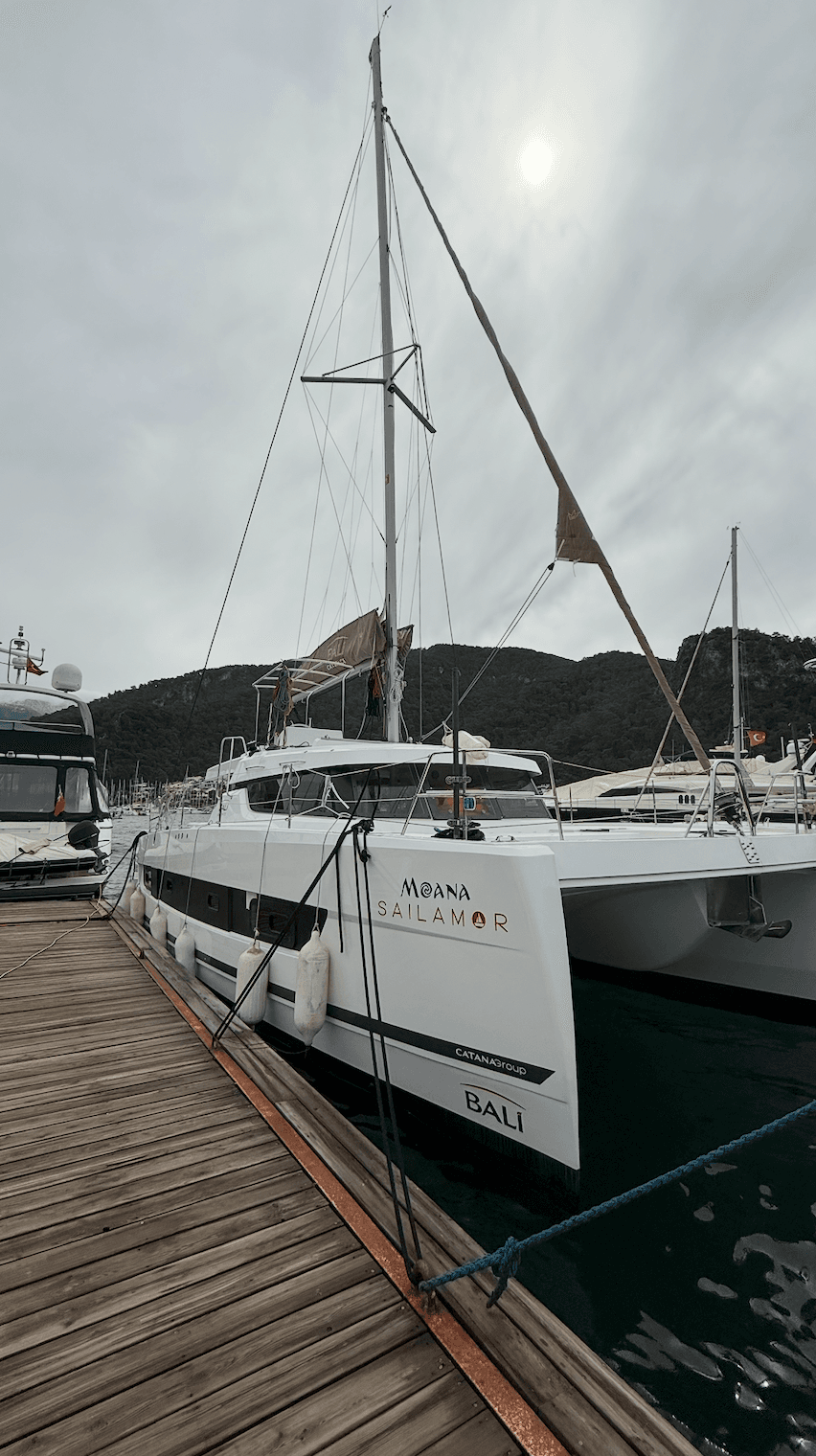 Bali Catspace - photo 16