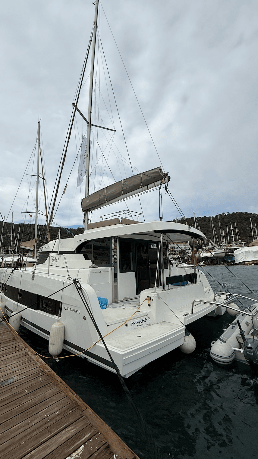 Bali Catspace - photo 17