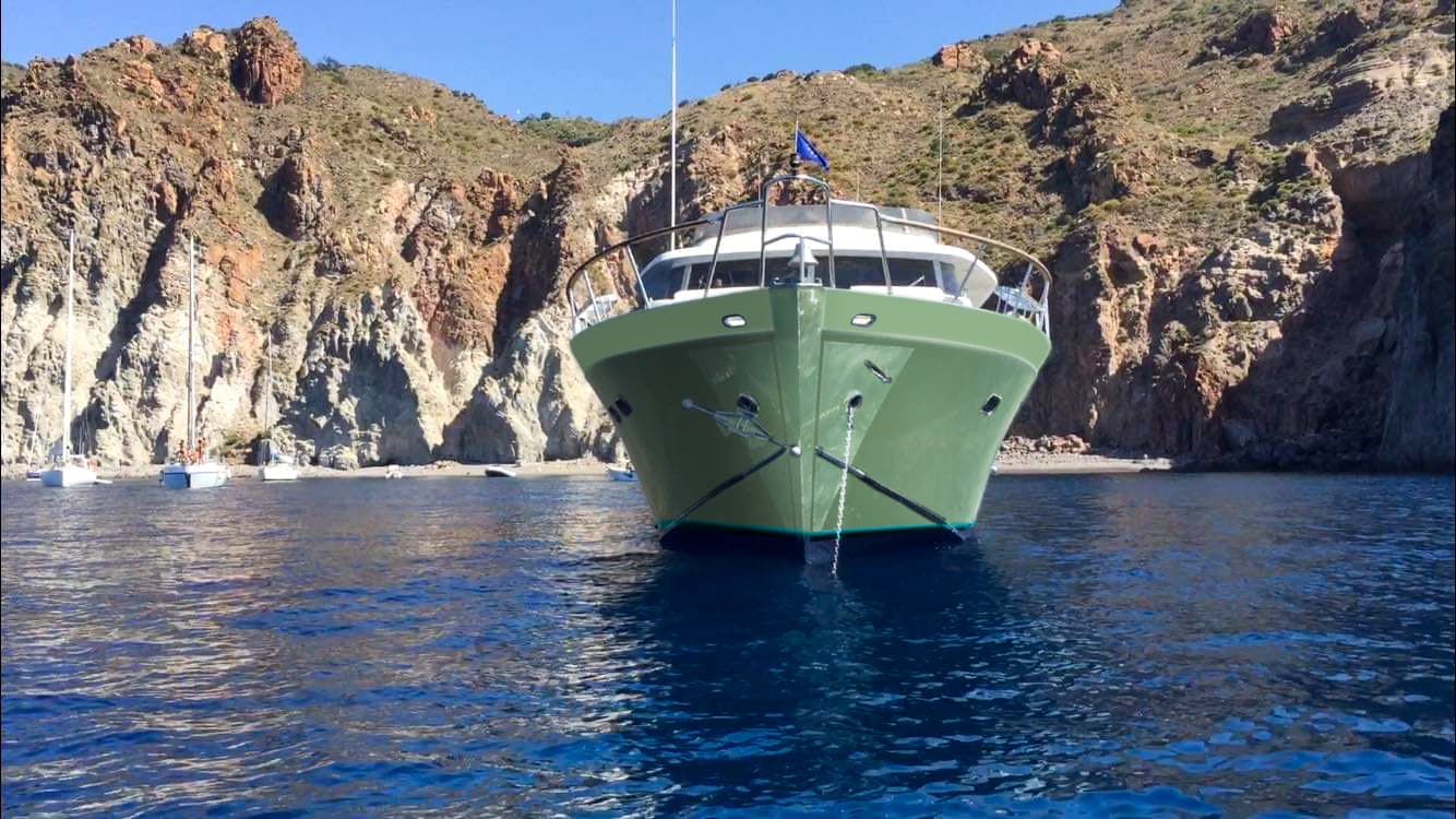 Pegasus 80 - photo 4