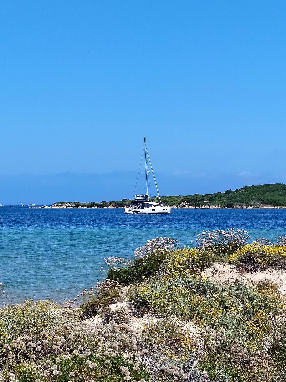 Lagoon 450 Fly - photo 4