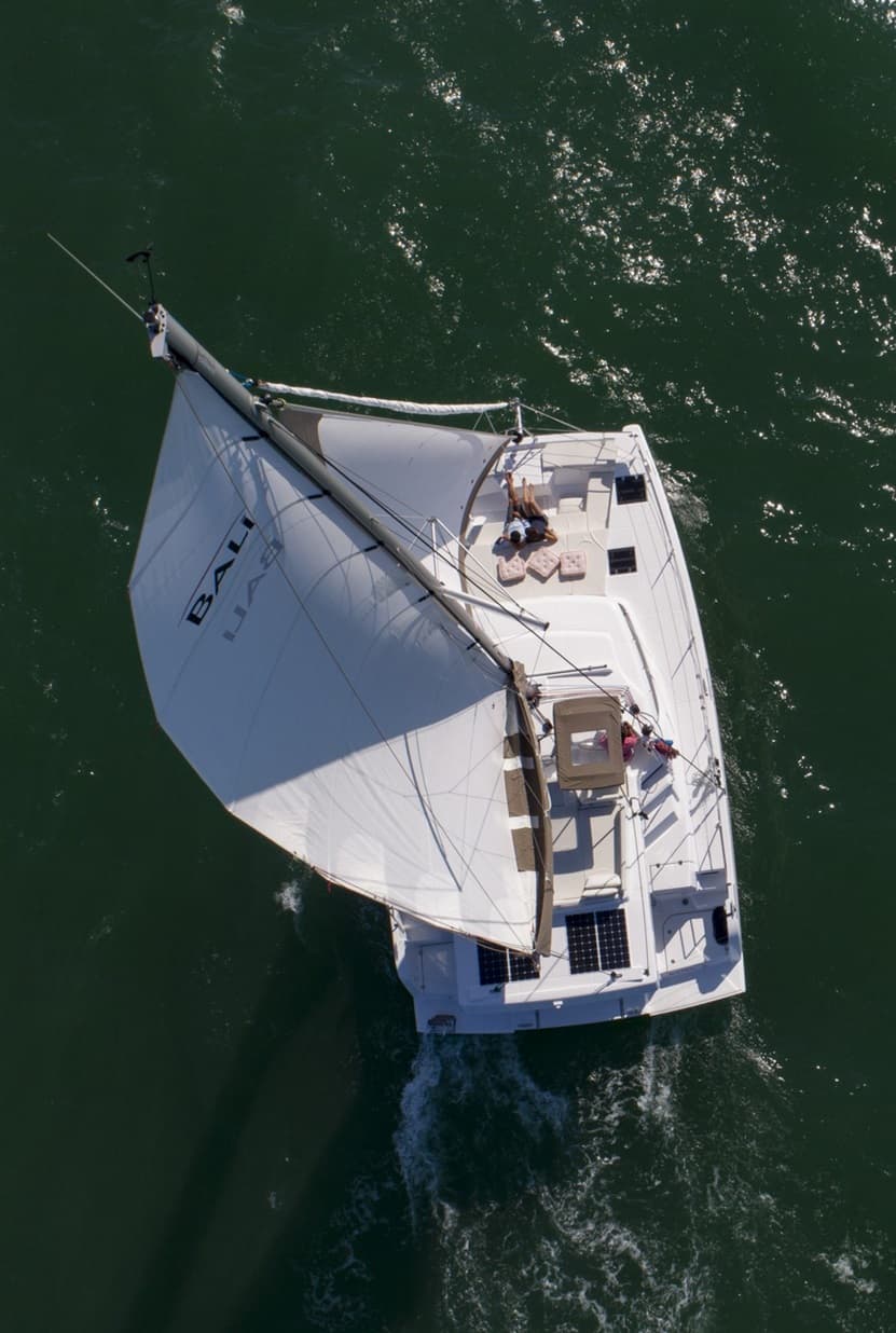 Bali Catspace - photo 14