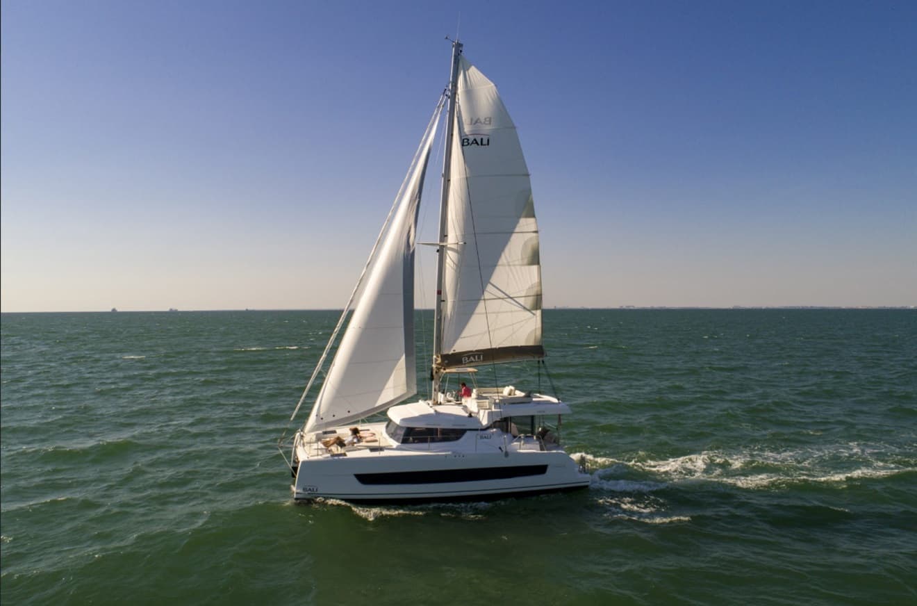 Bali Catspace - photo 21