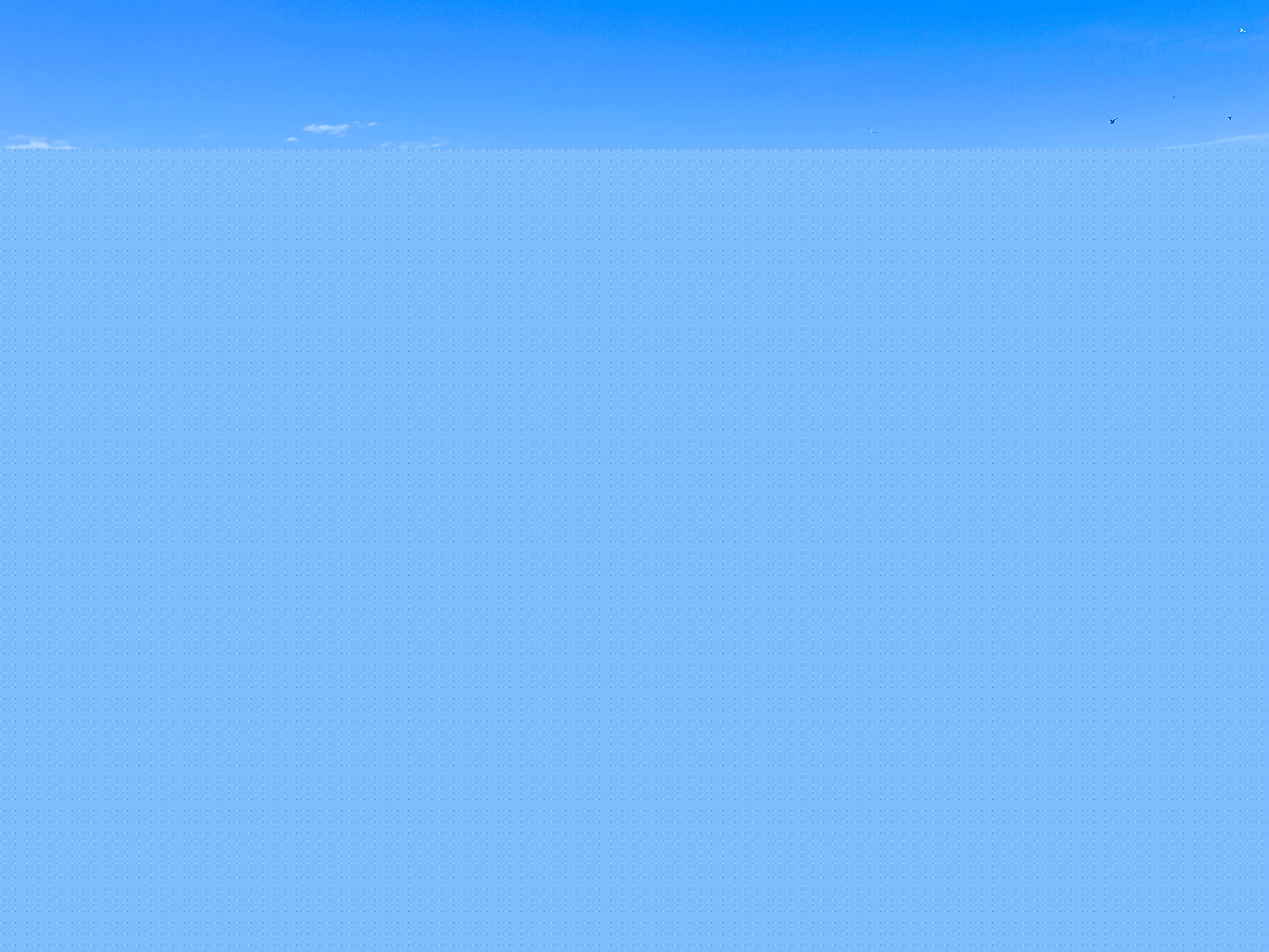 Key Largo 20 - photo 16