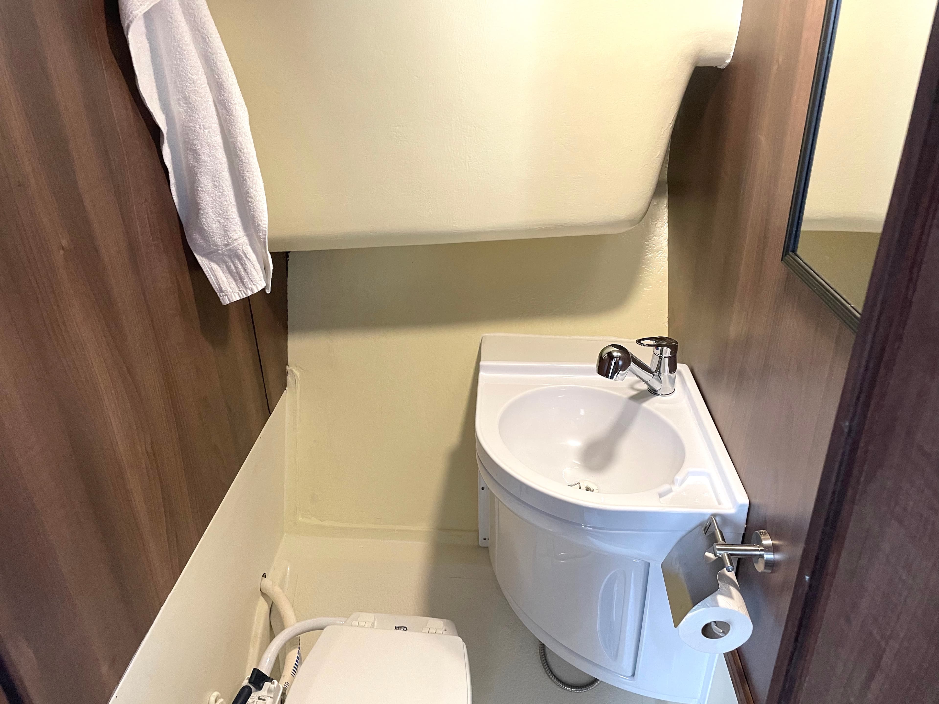 Husky Dane - photo 5