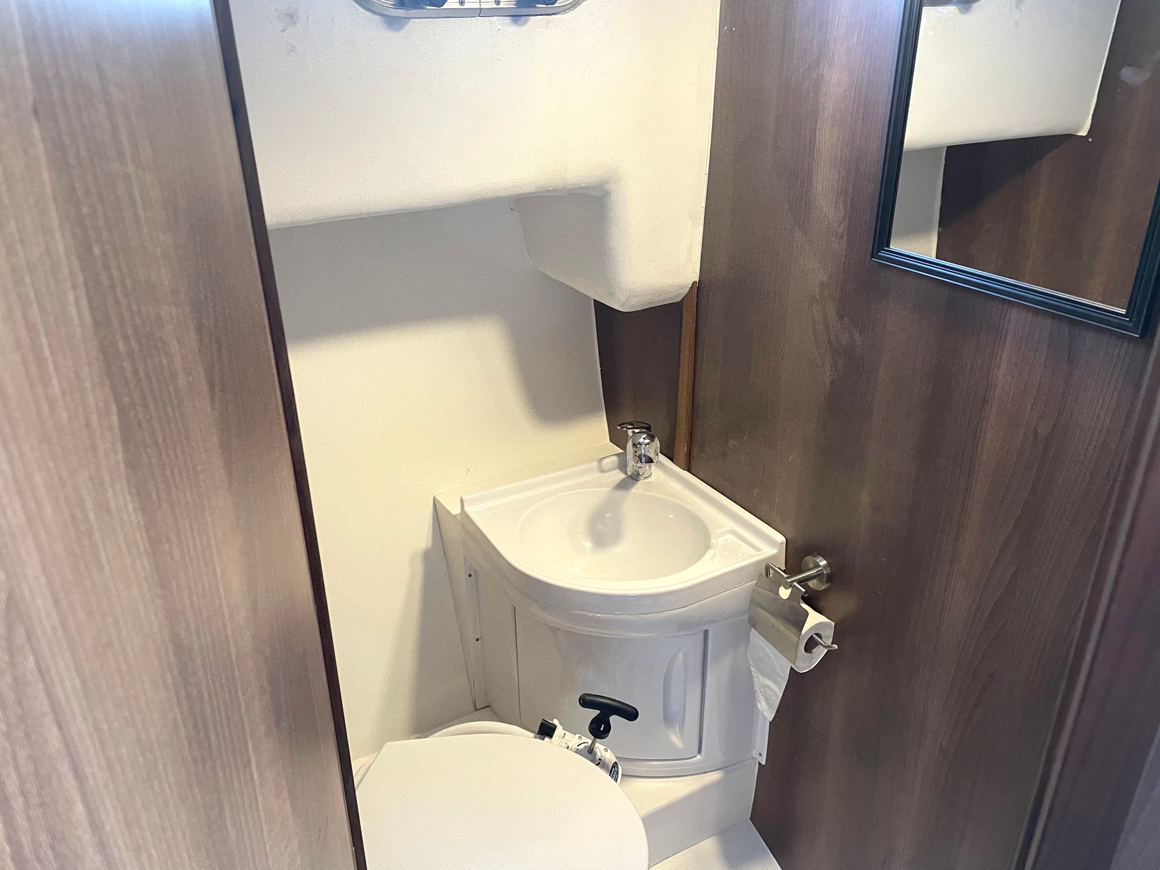 Husky Dane - photo 7