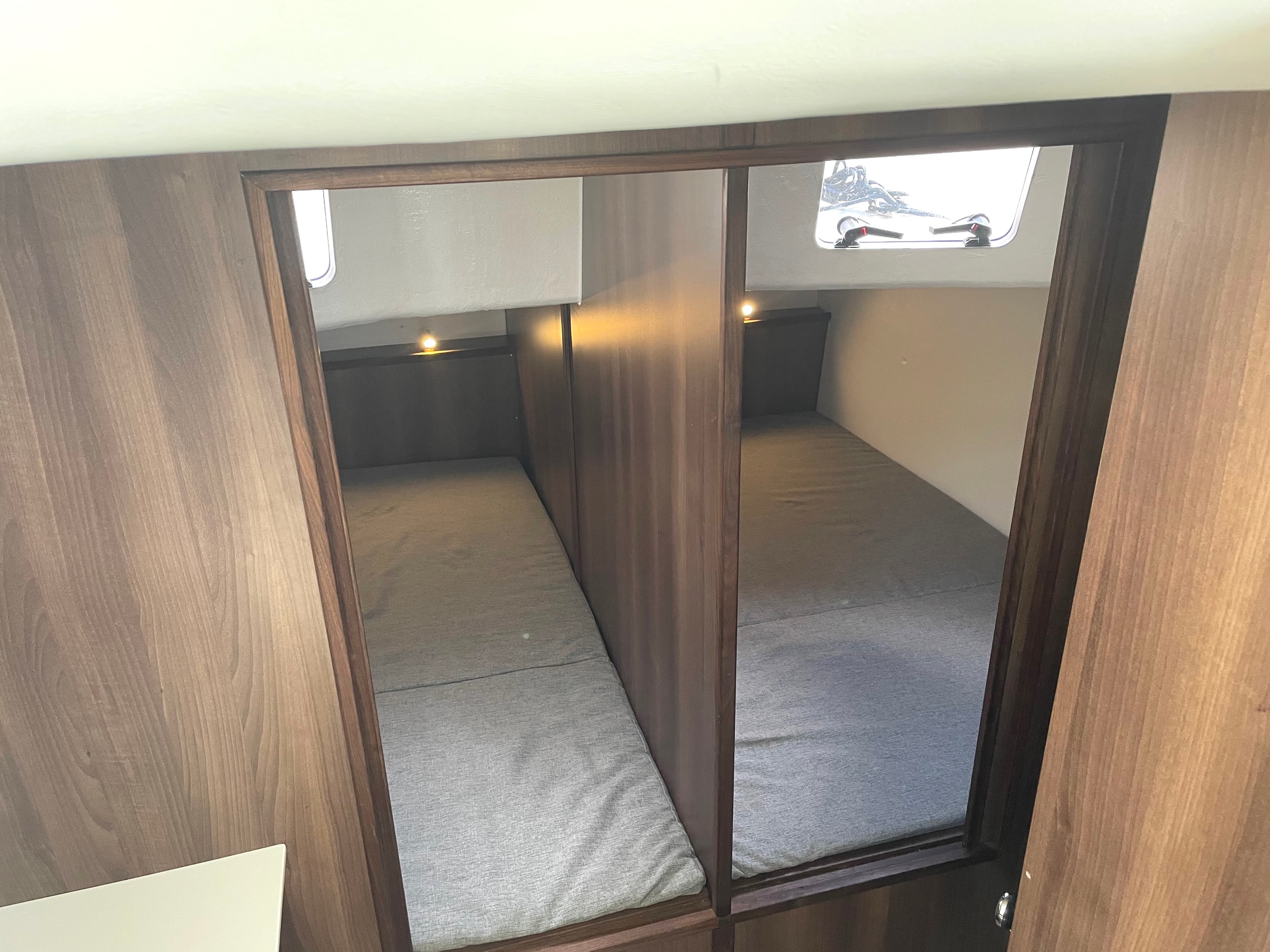 Husky Dane - photo 5