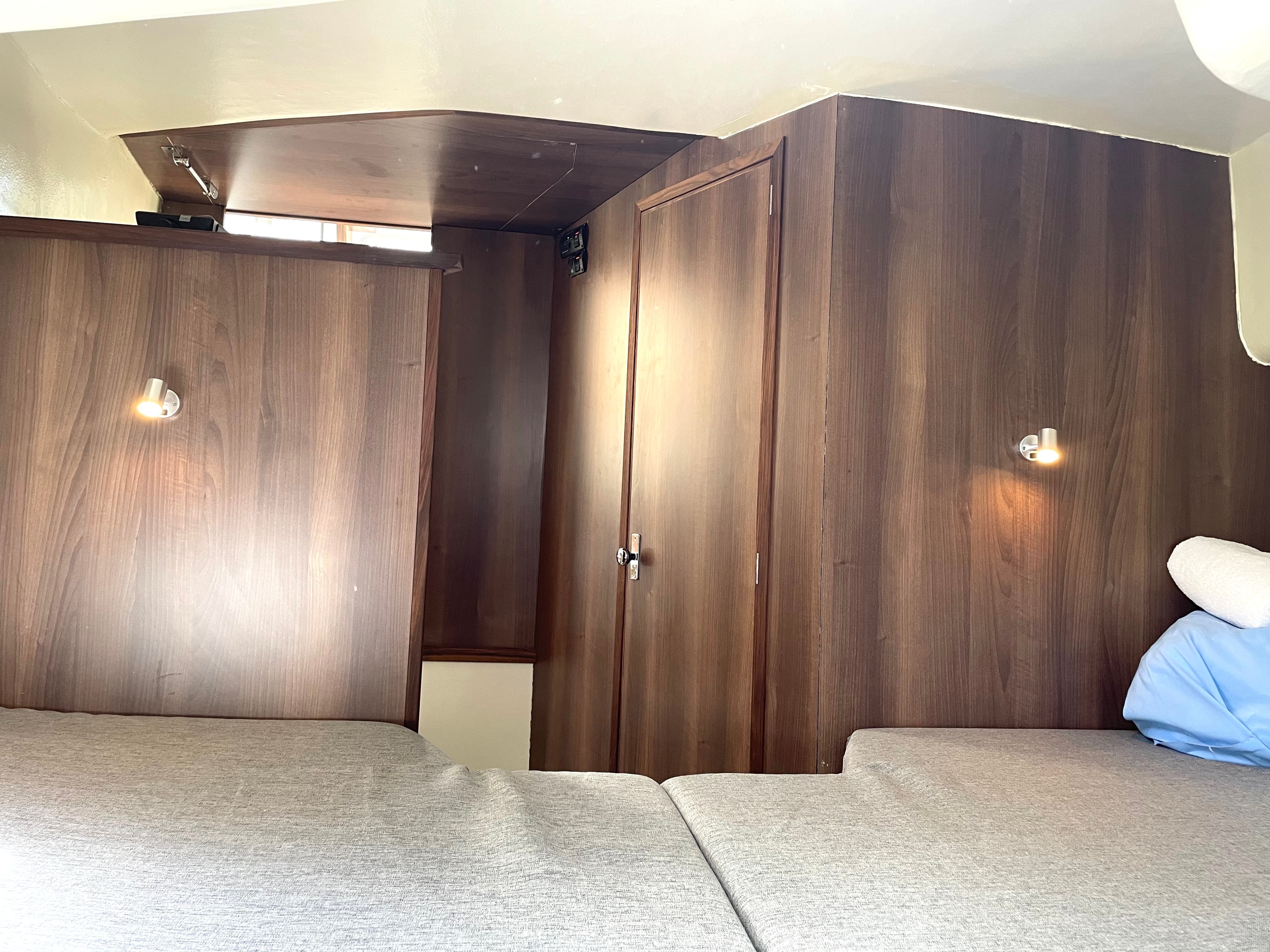 Husky Dane - photo 9