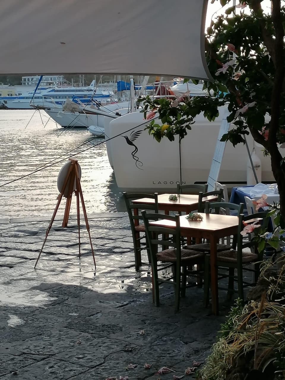 Lagoon 50 - photo 19