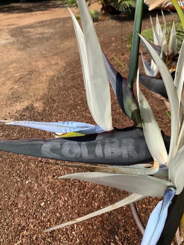 Lagoon 50 - photo 23