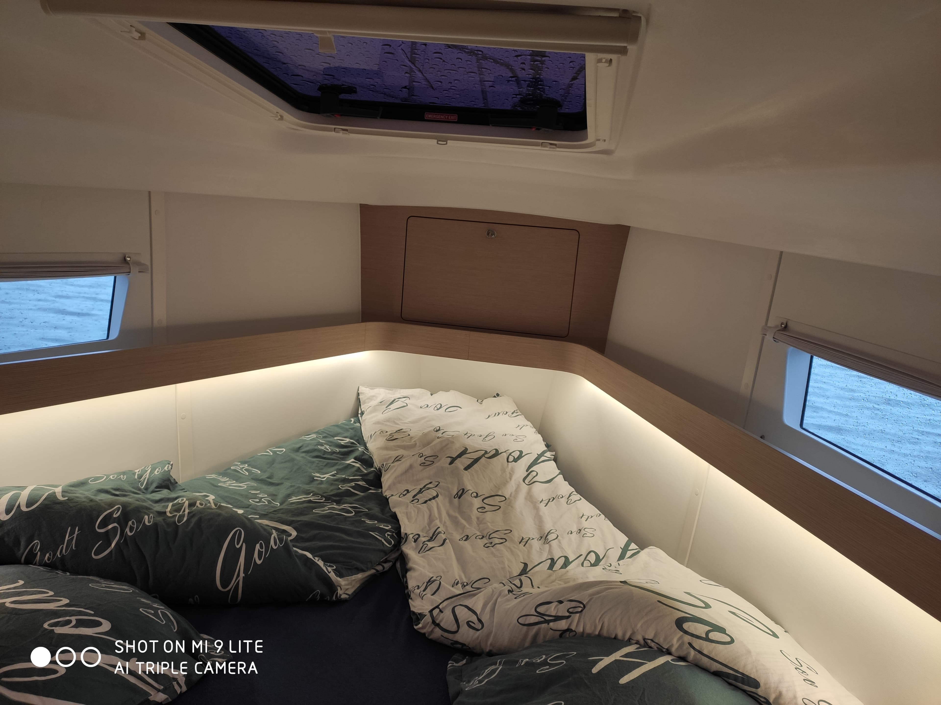 Elan Impression 45 - photo 6