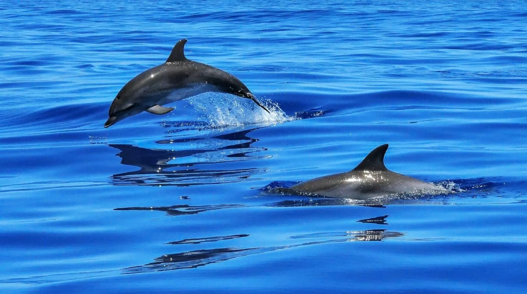 Beneteau 48 - photo 47