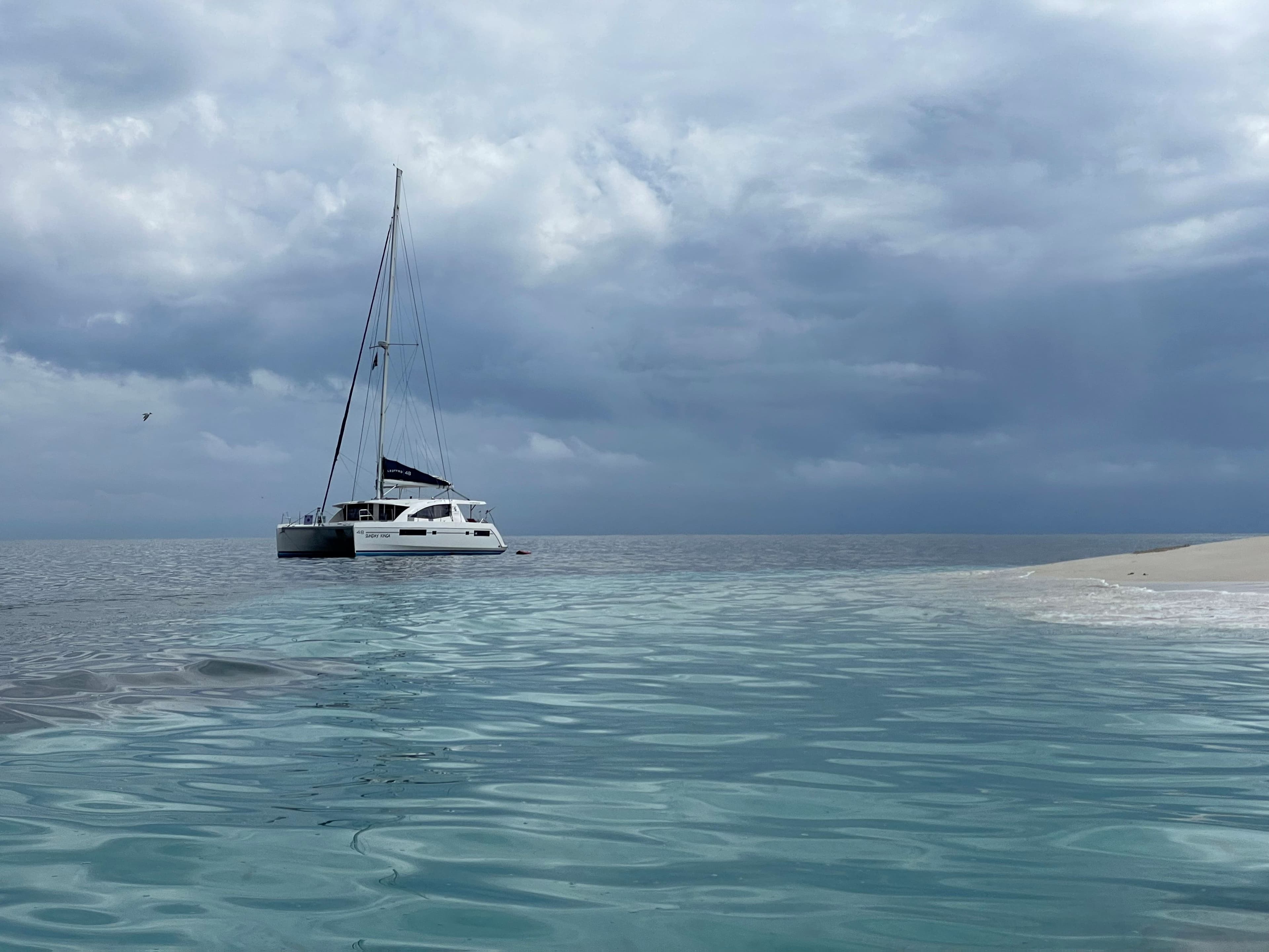 Leopard 48 - photo 5