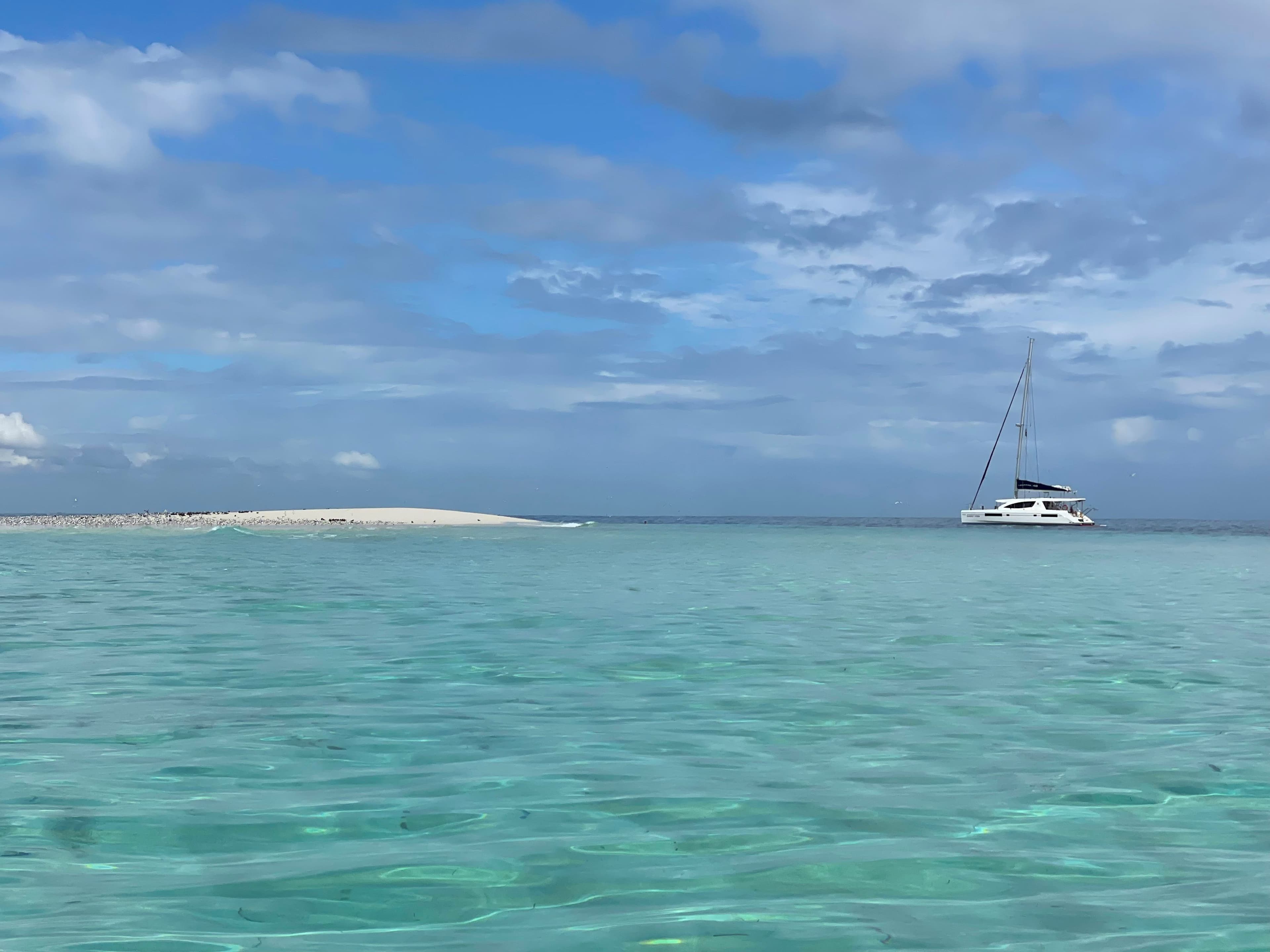 Leopard 48 - photo 13