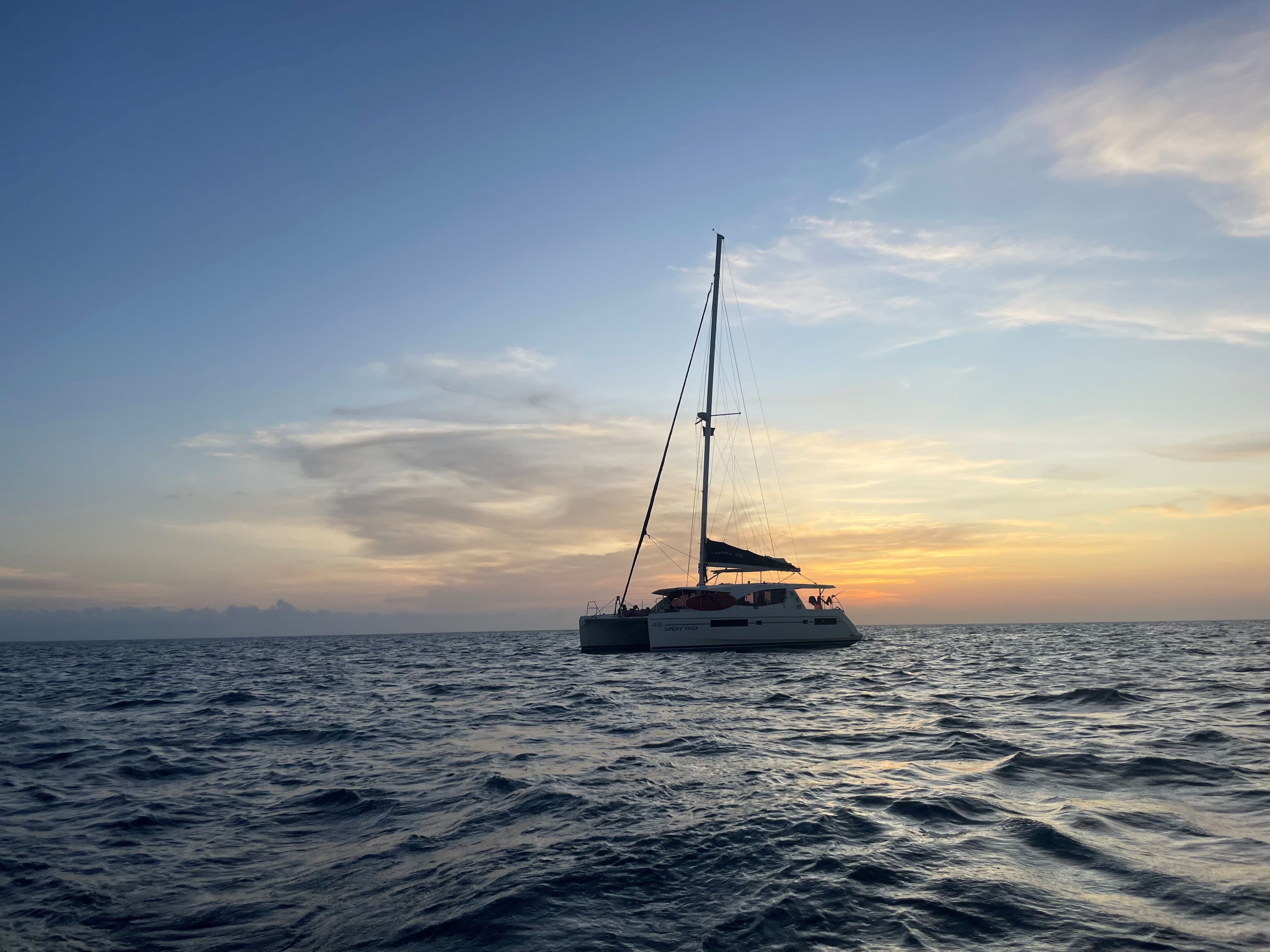 Leopard 48 - photo 14