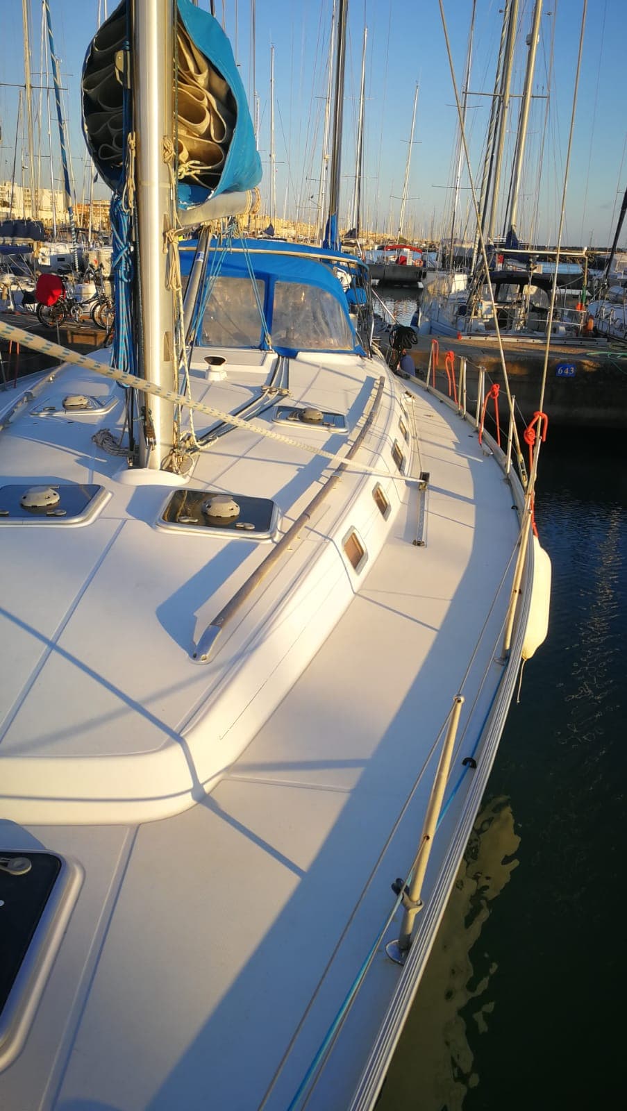 Cyclades 50.4 - photo 6