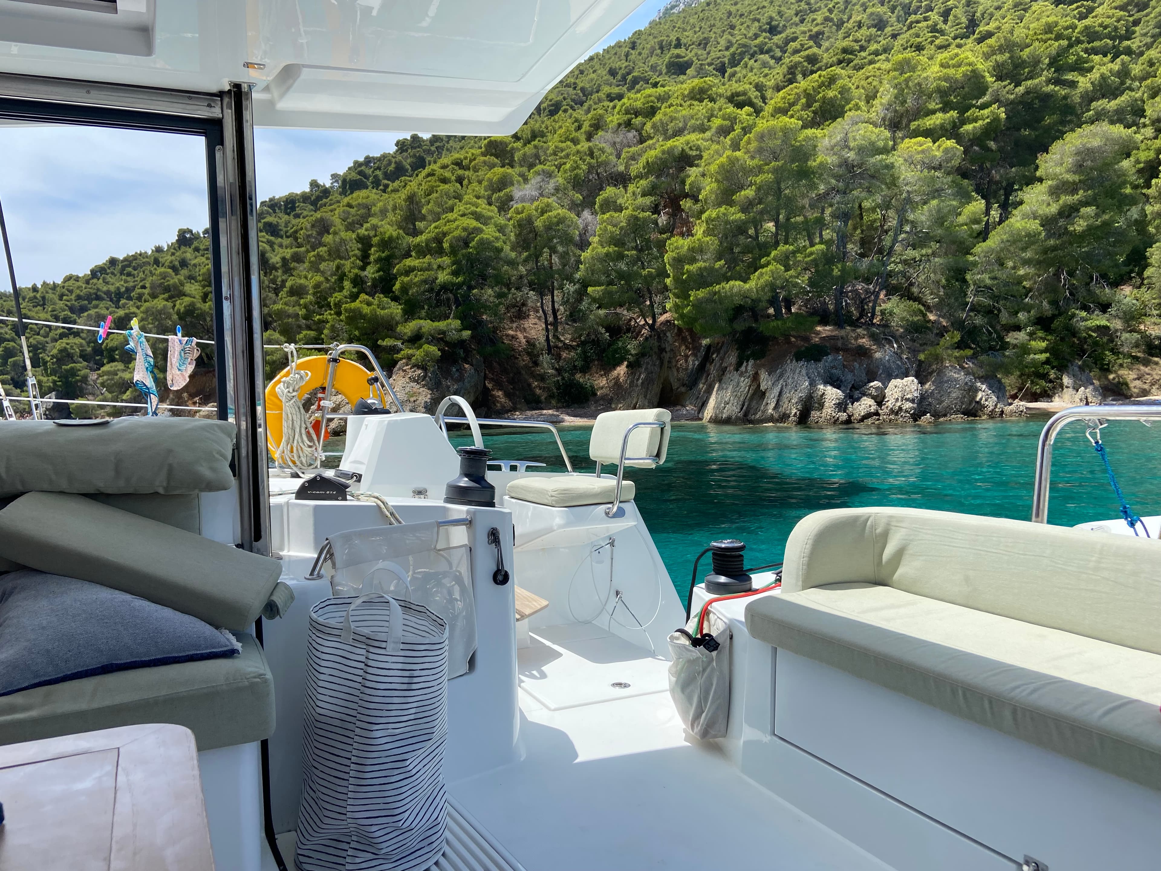 Bali Catsmart - photo 4