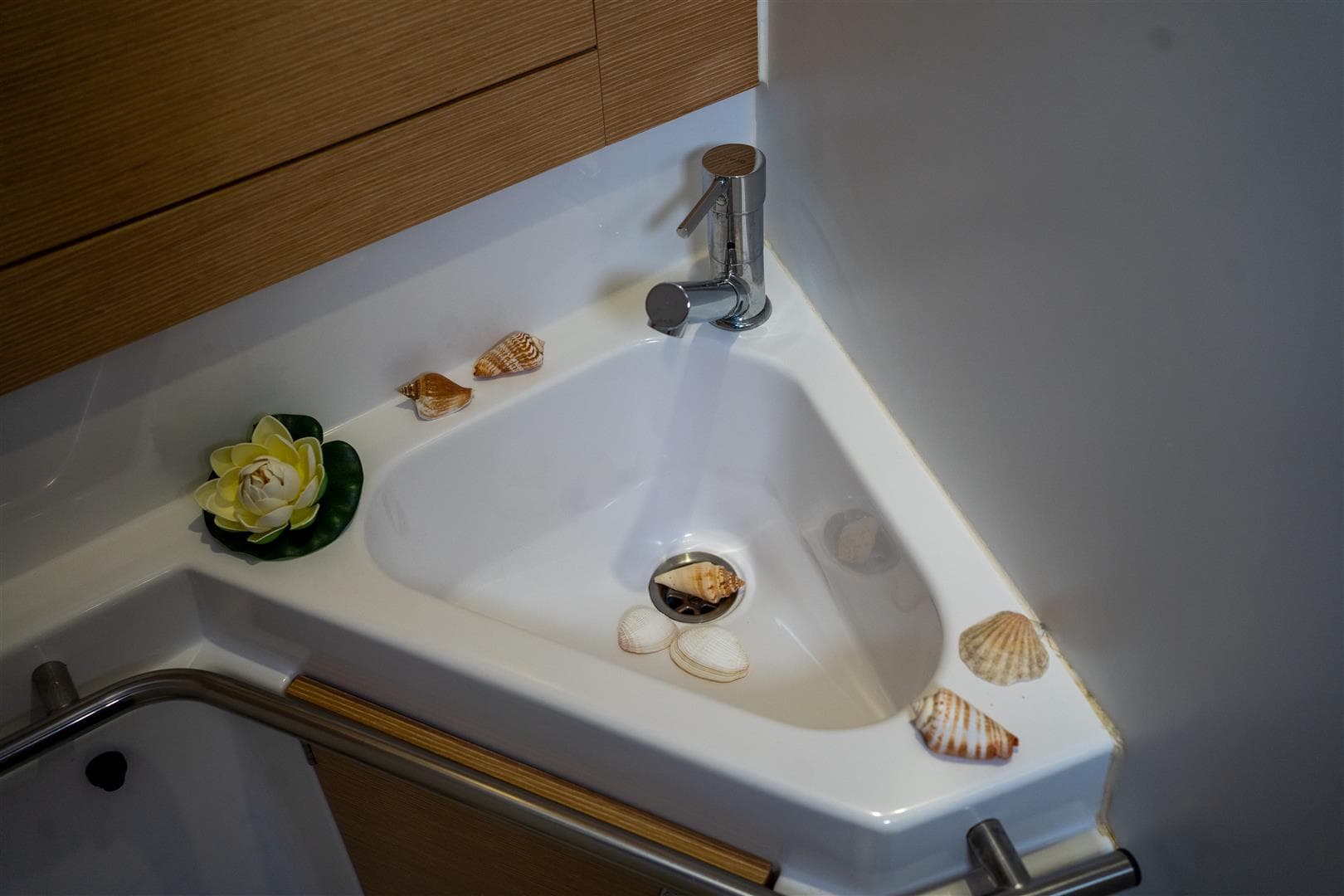 Elan Impression 45 - photo 12