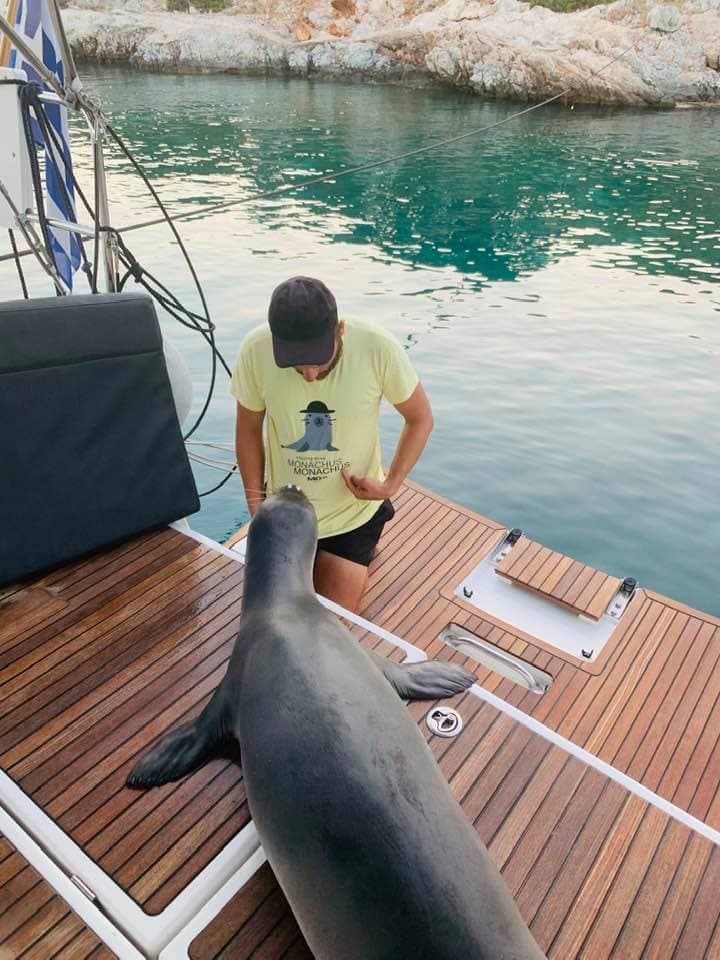 Sun Odyssey 440 - photo 12