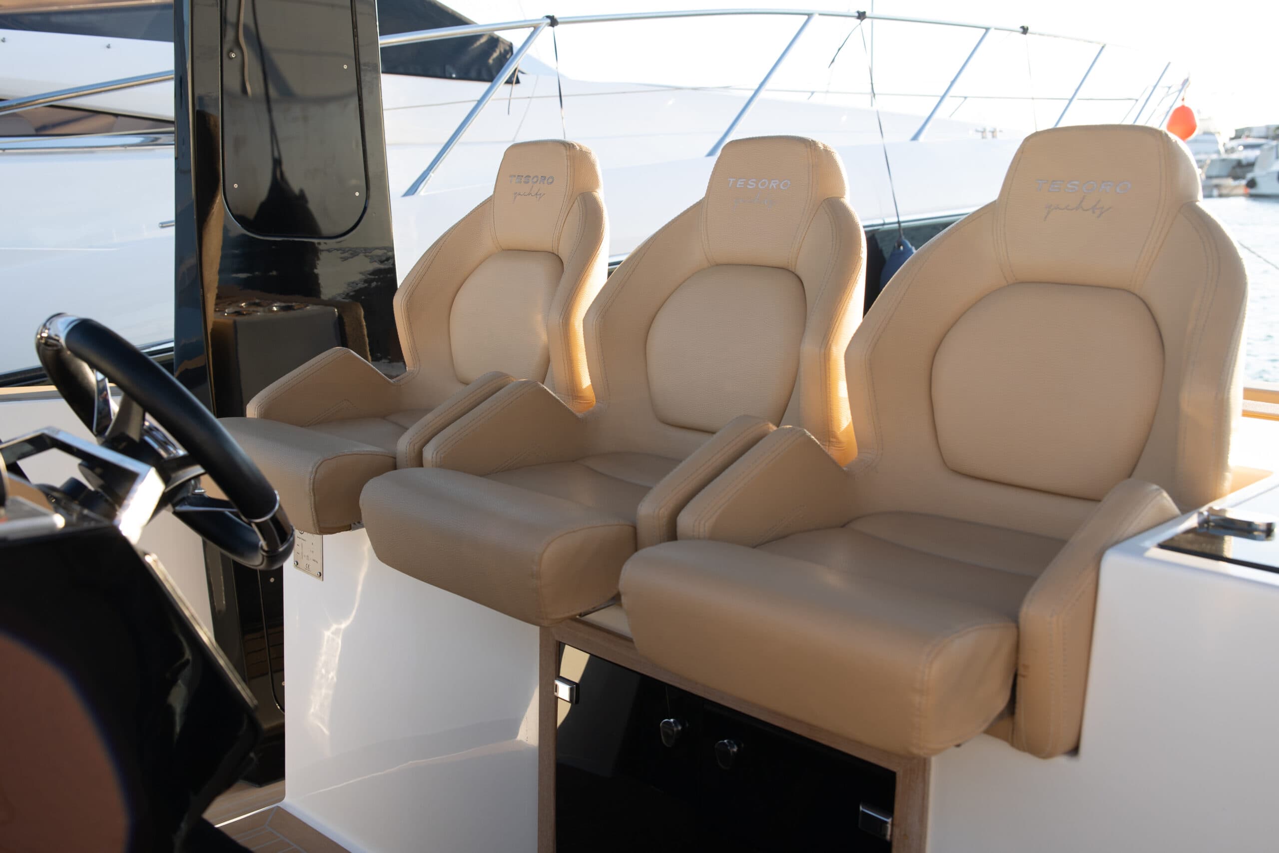 Tesoro T40 - photo 12