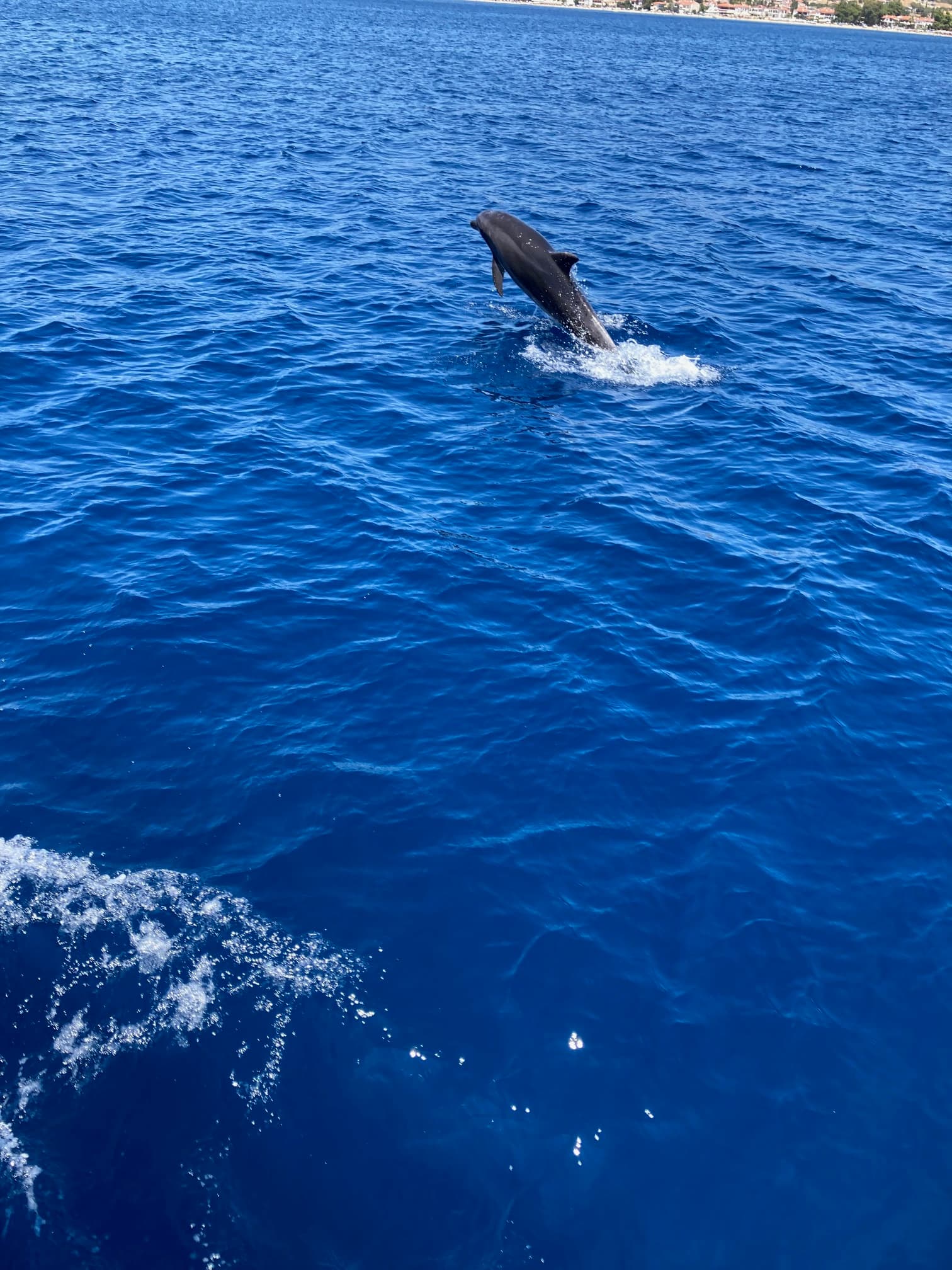 Hanse 342 - photo 10