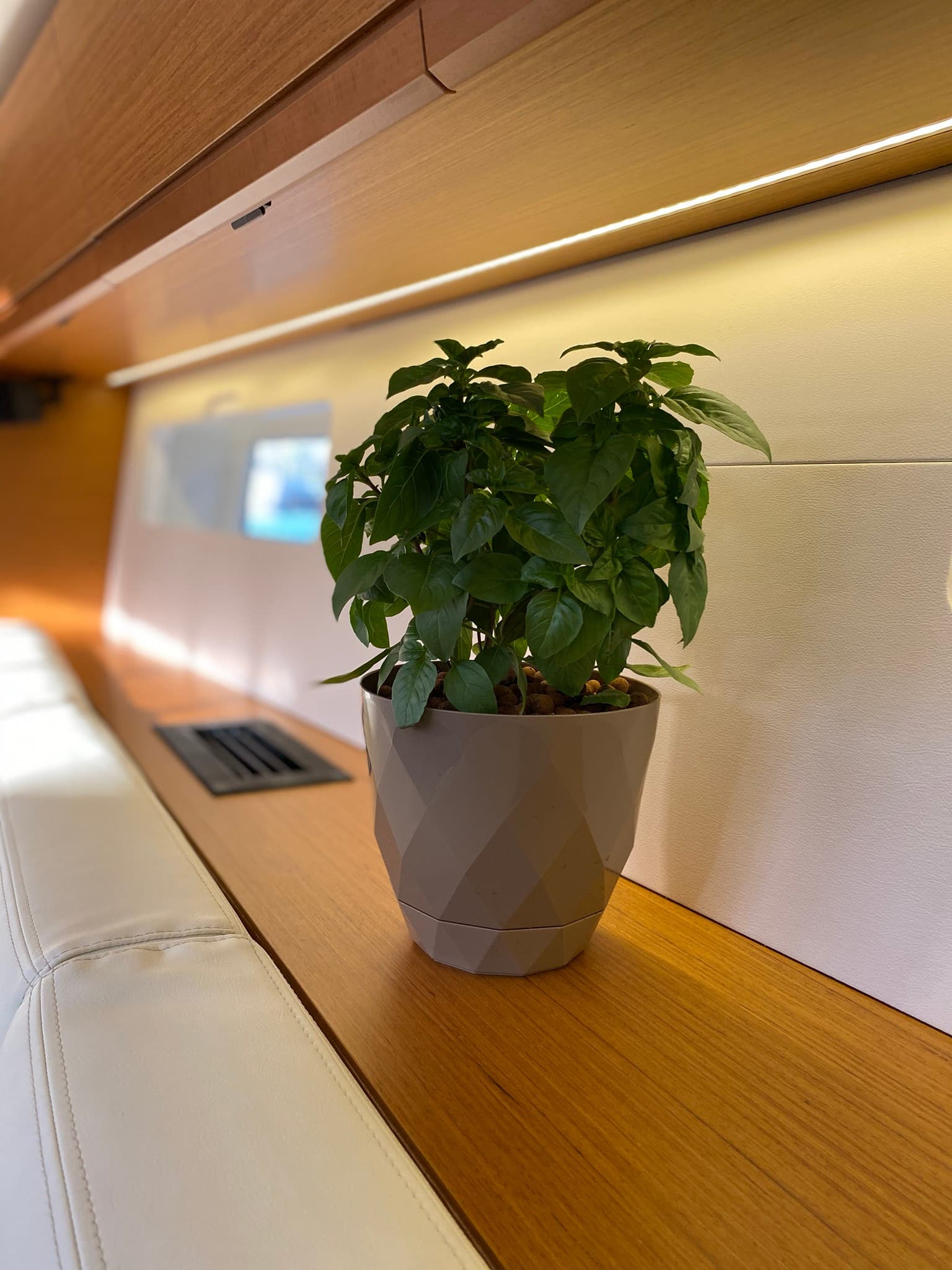 Jeanneau 54 - photo 28