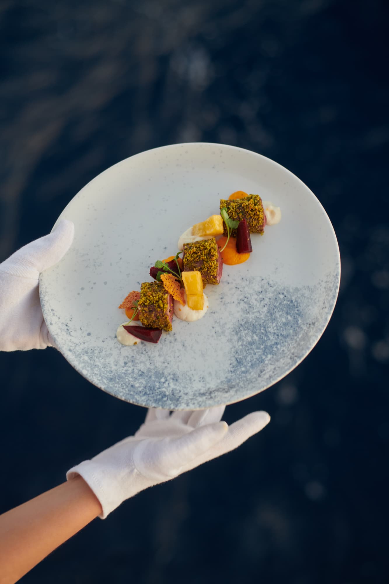 Motoryacht - photo 7